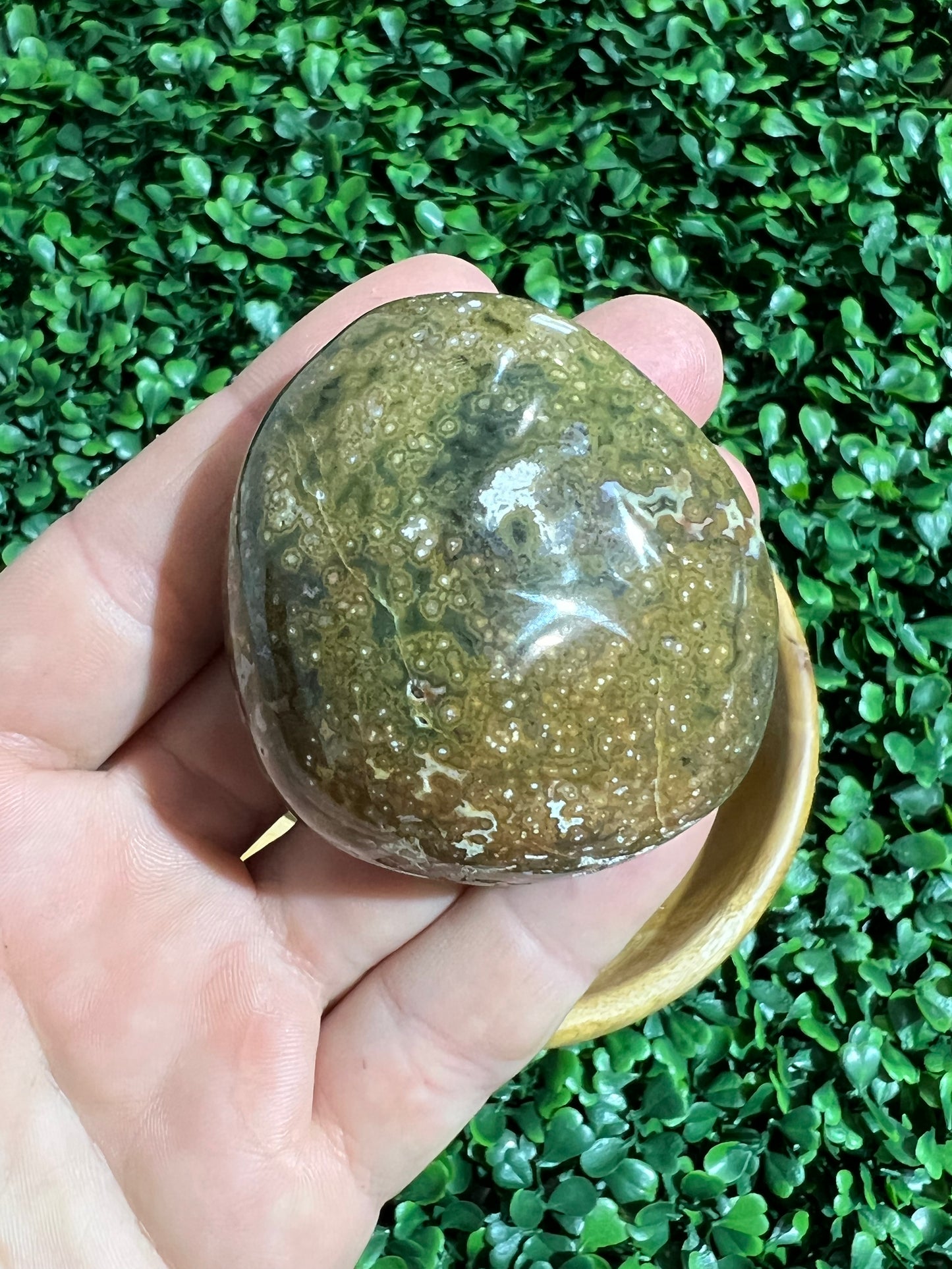 Ocean Jasper Palm Stone’s