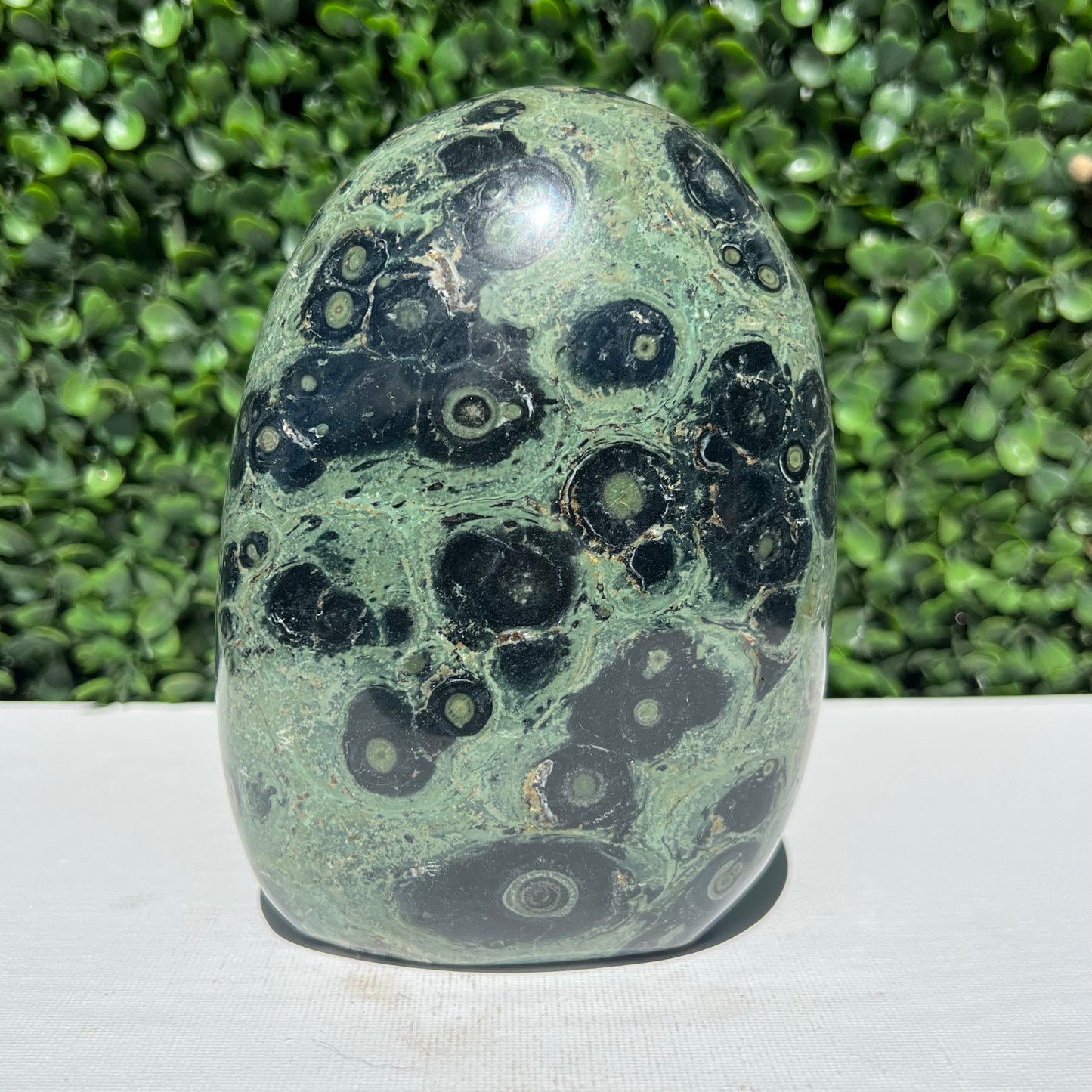 Kambaba Jasper Free Form