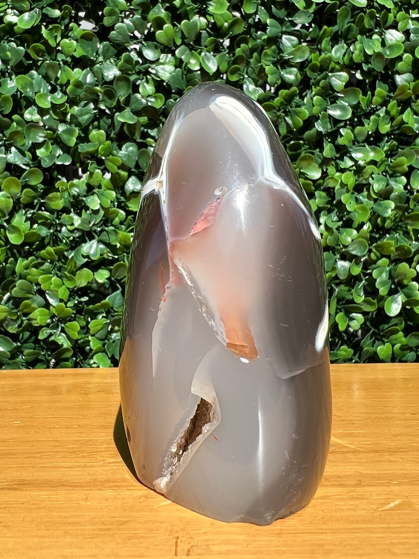 Orca Agate Free Form