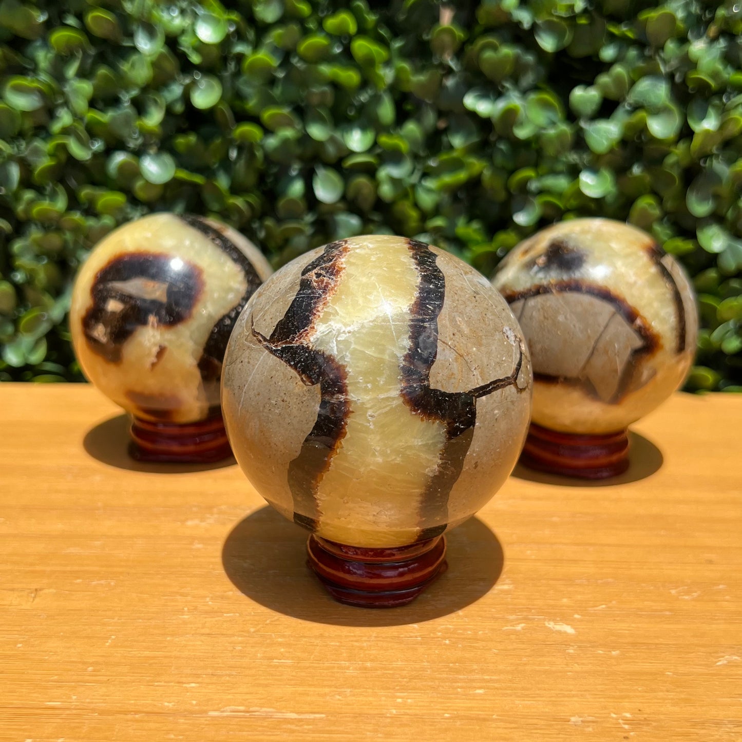 Septarian Yellow Calcite Sphere’s