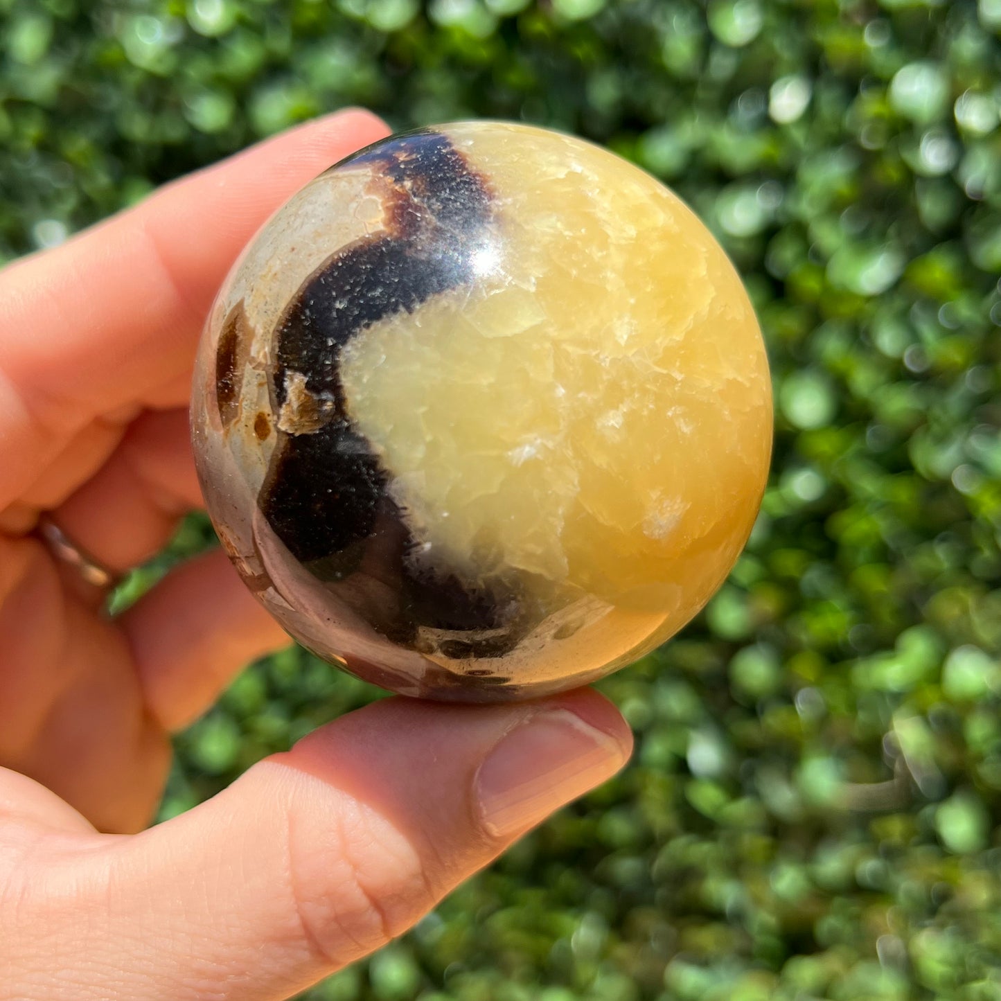 Septarian Yellow Calcite Sphere