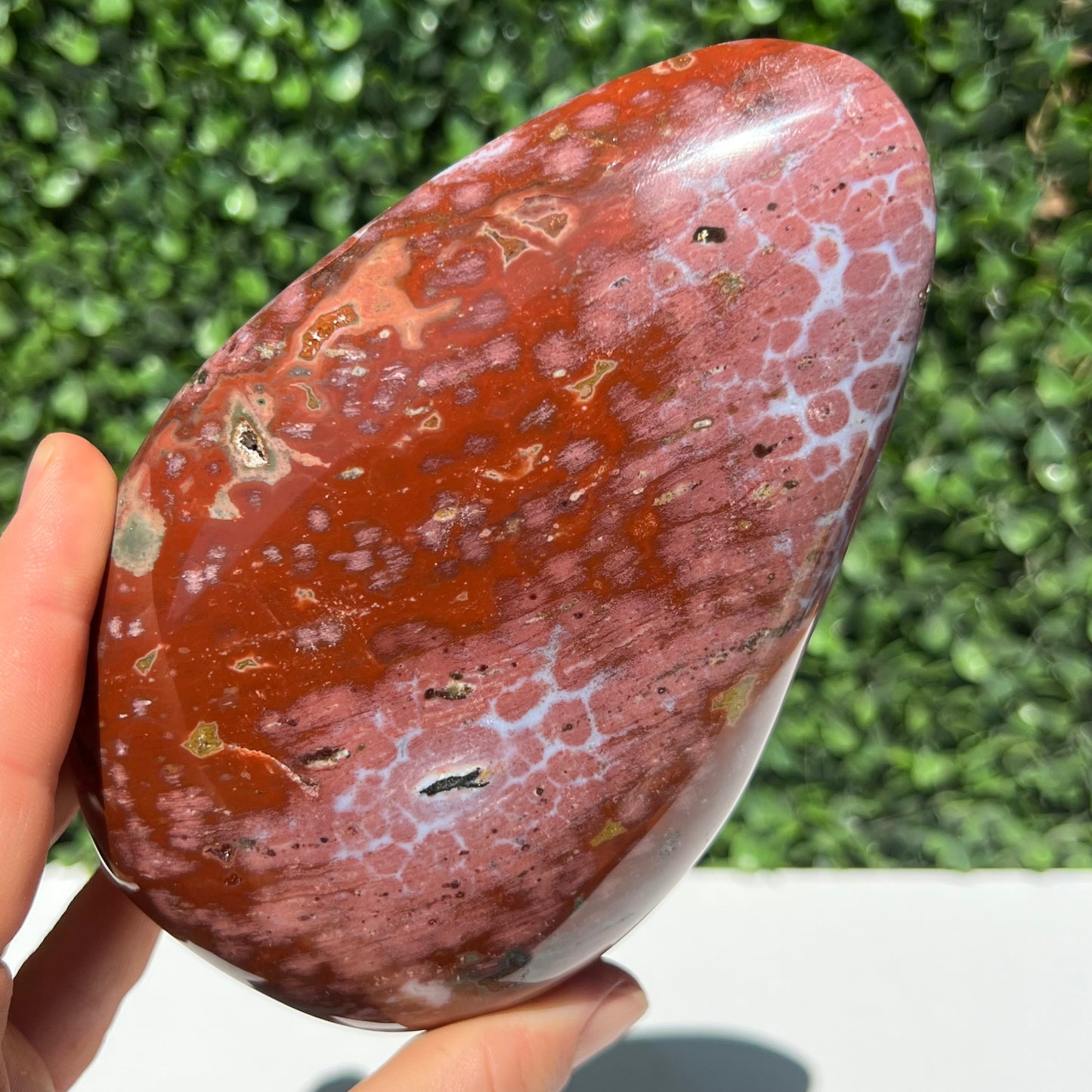 Ocean Jasper Free Form
