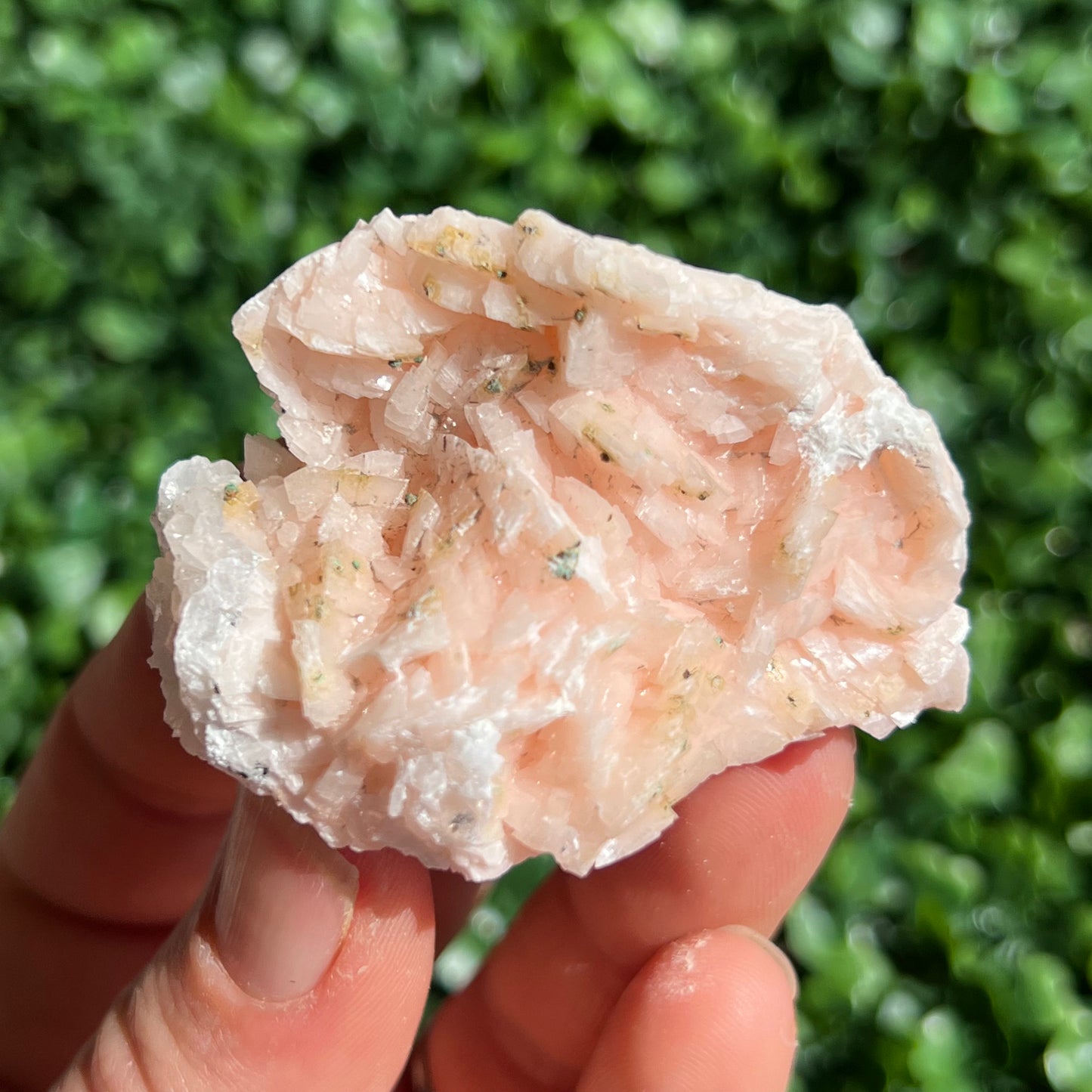 Pink Dolomite Specimen