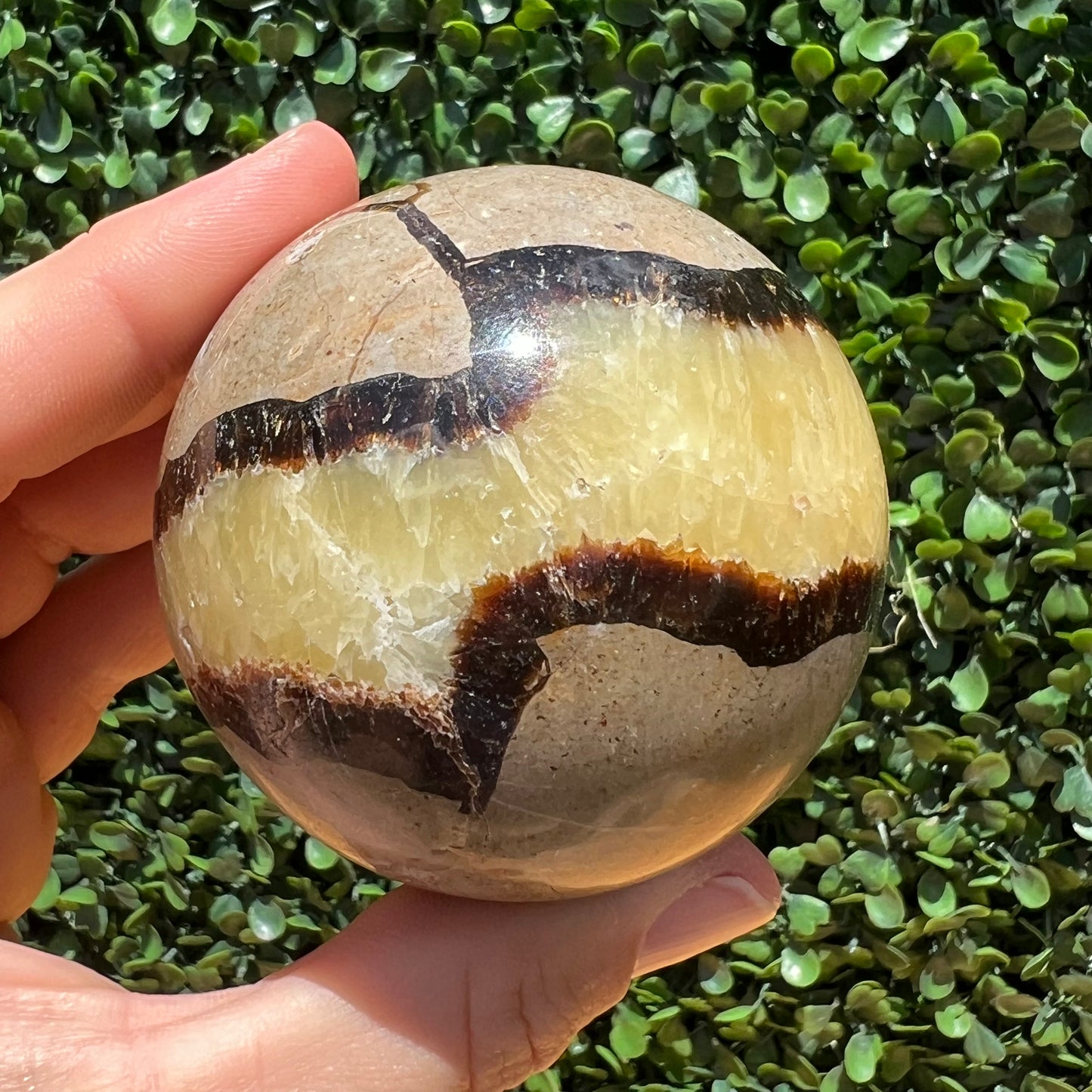 Septarian Yellow Calcite Sphere