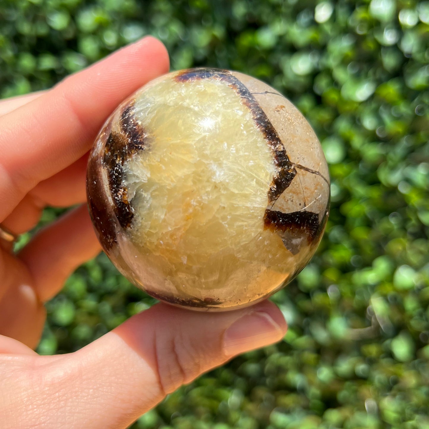 Septarian Yellow Calcite Sphere
