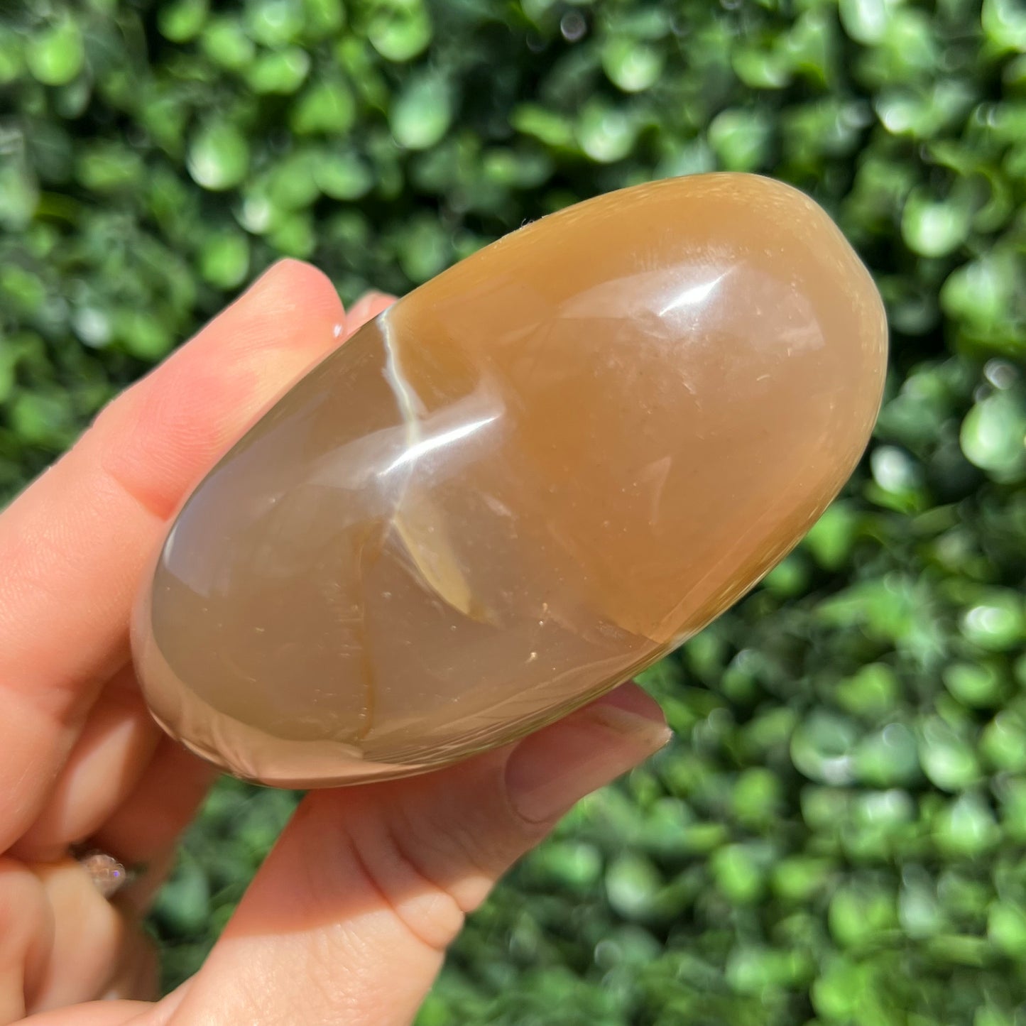 Orca Agate Heart