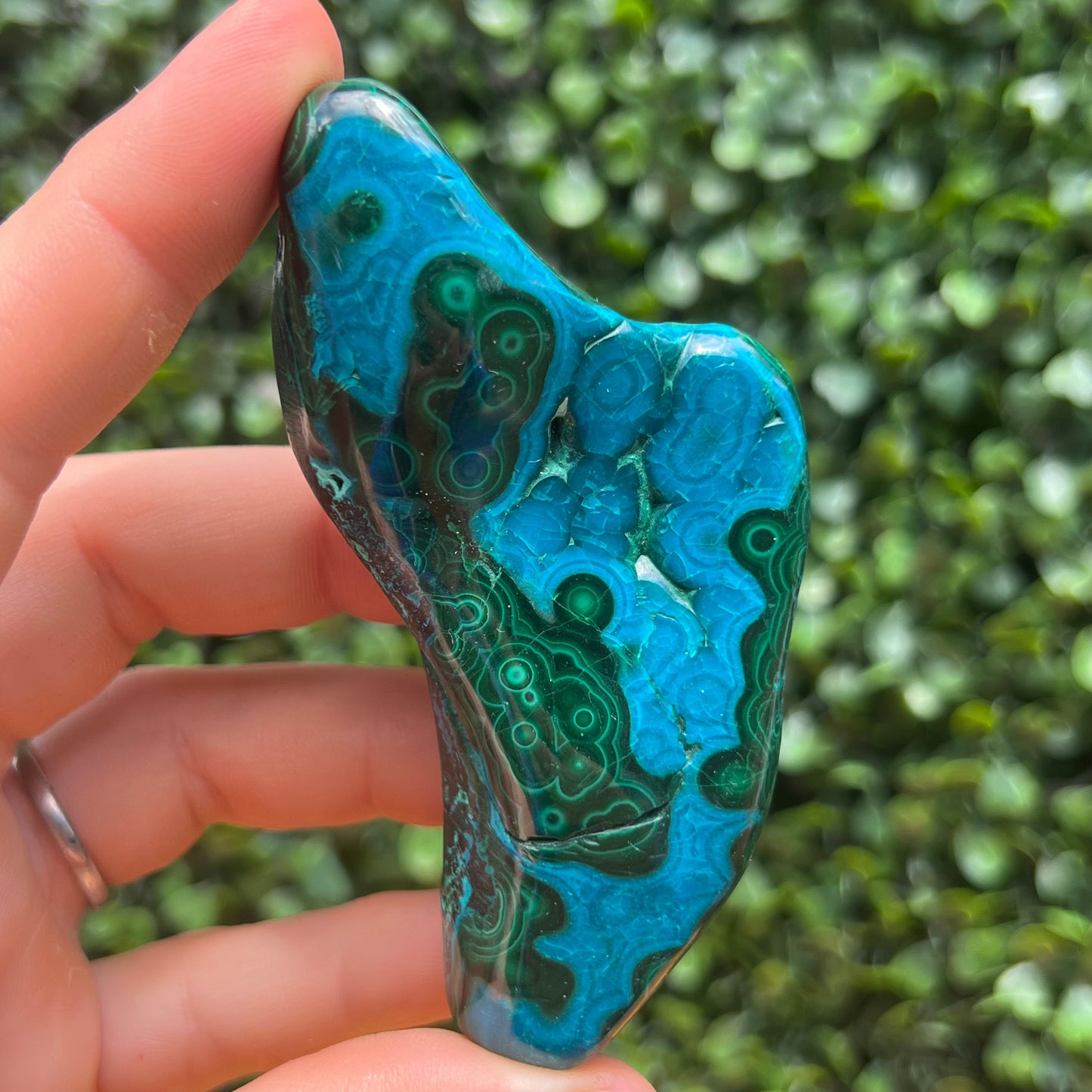 Chrysocolla Malachite Free Form