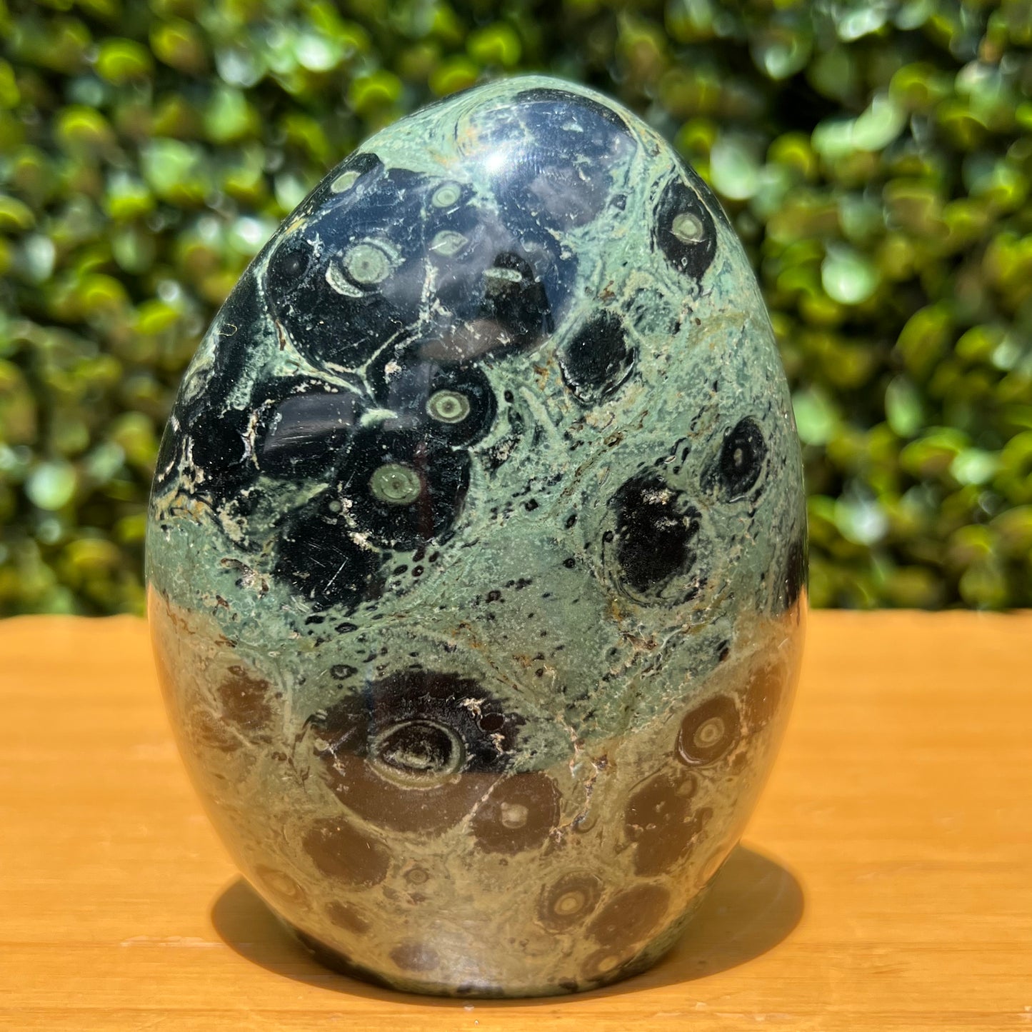 Kambaba Jasper Free Form