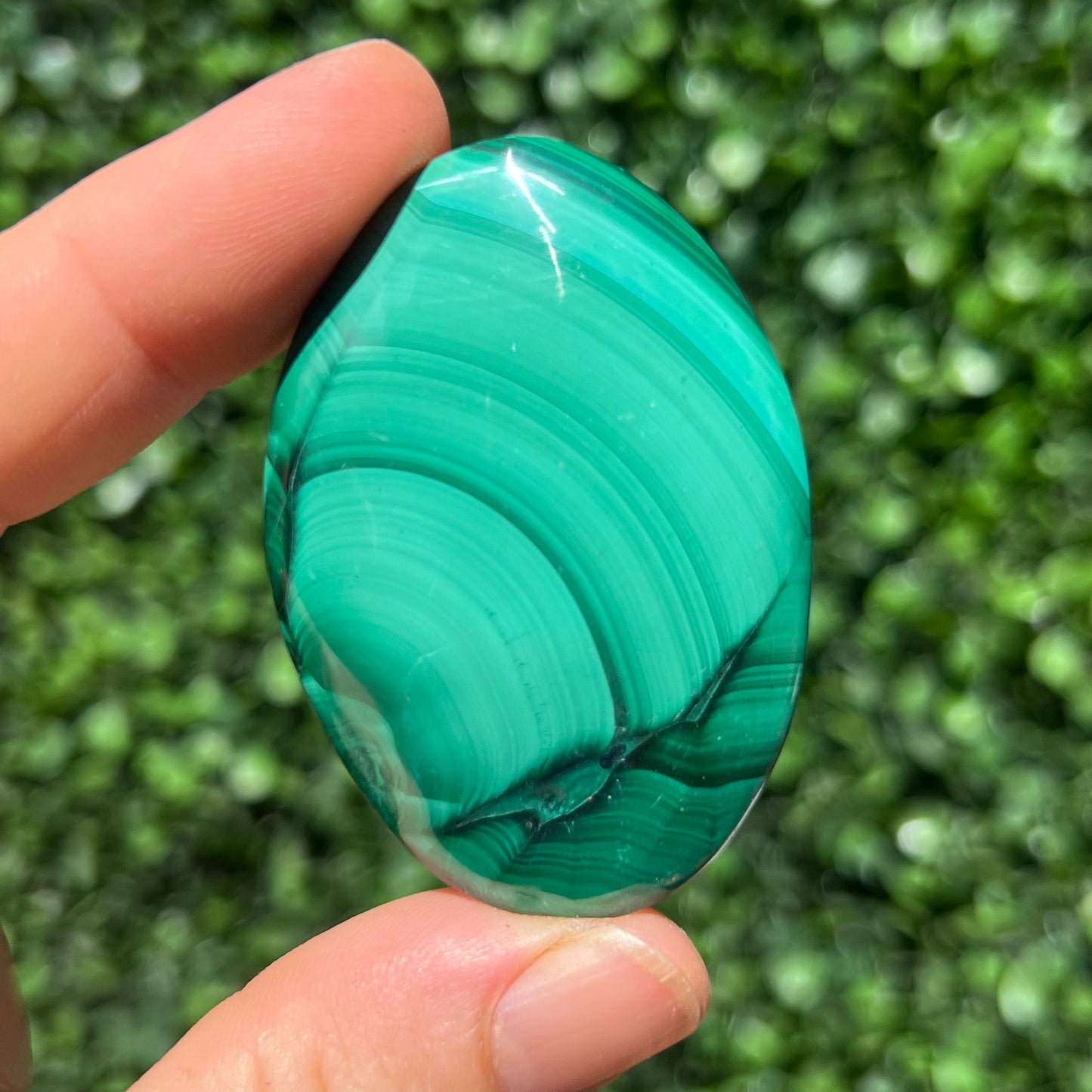 Malachite Palm Stone