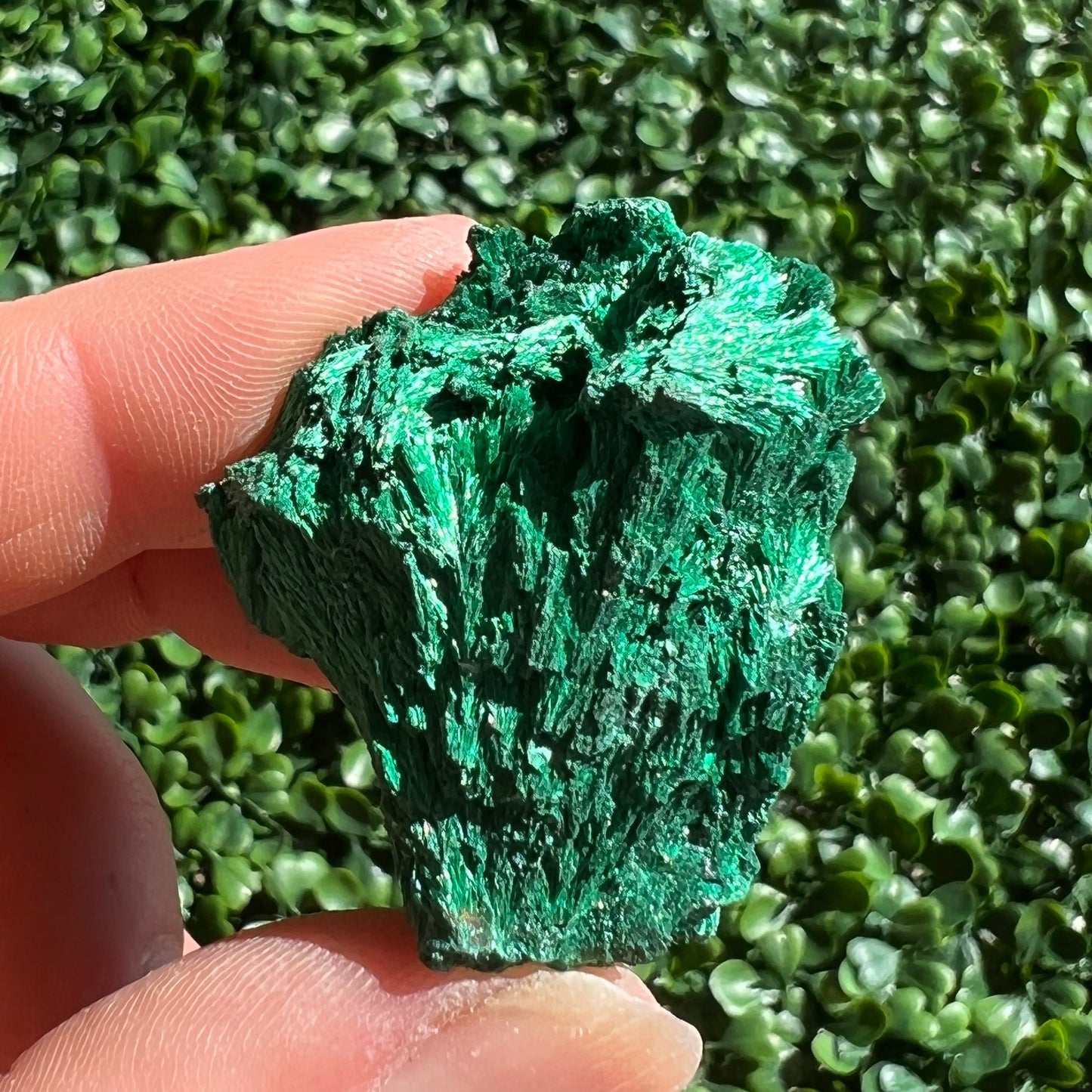 Fibrous Malachite Specimen