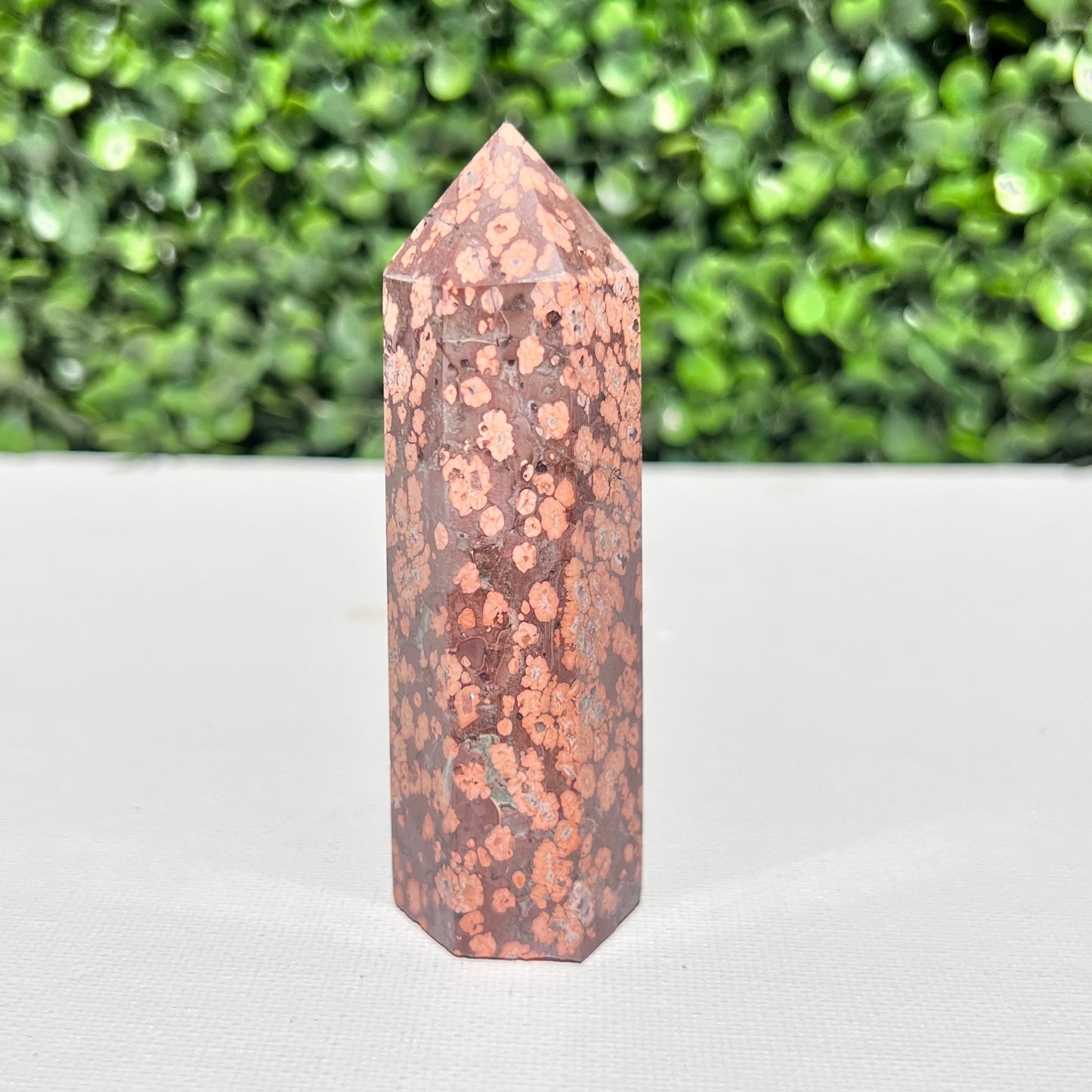 Leopard Skin Point