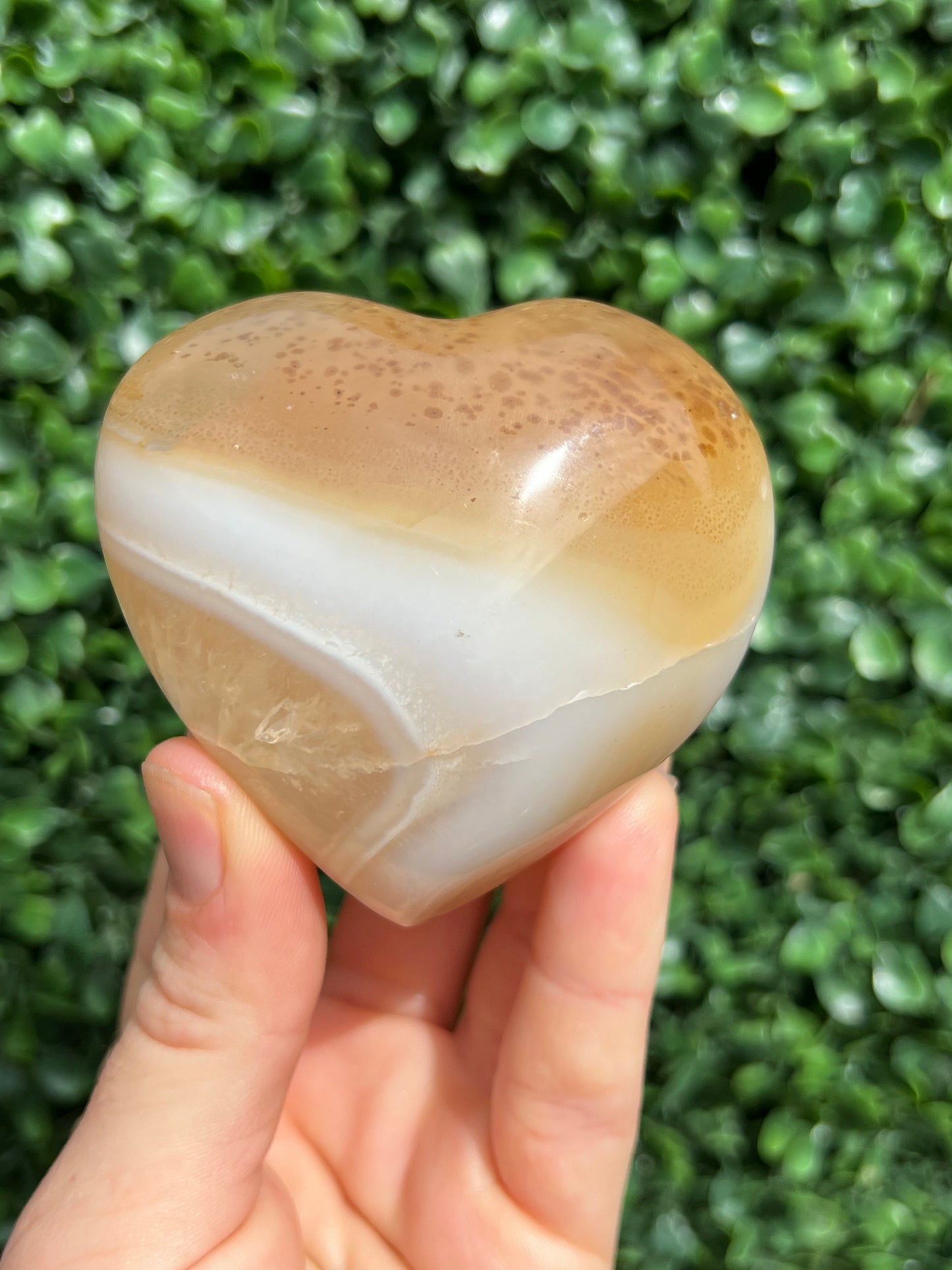 Agate Heart