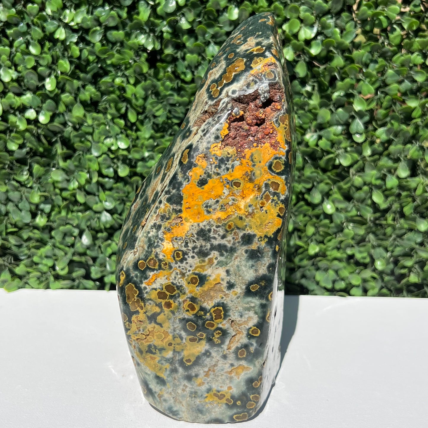 Ocean Jasper Free Form