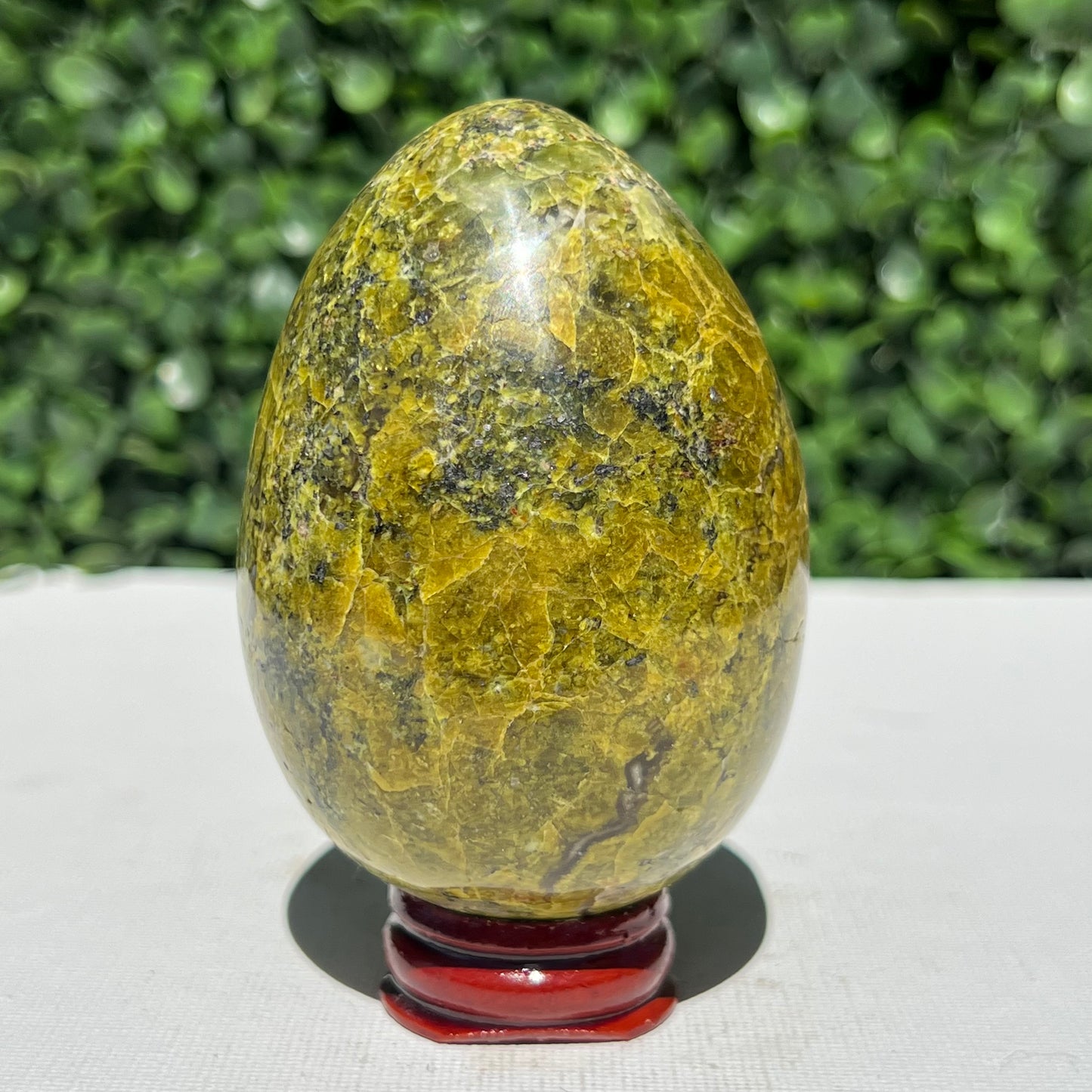 Kiwi Opal Egg