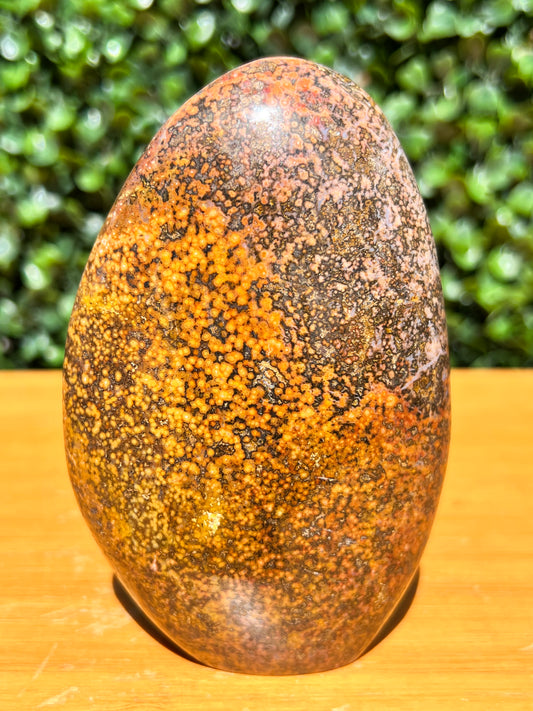 Ocean Jasper Free Form