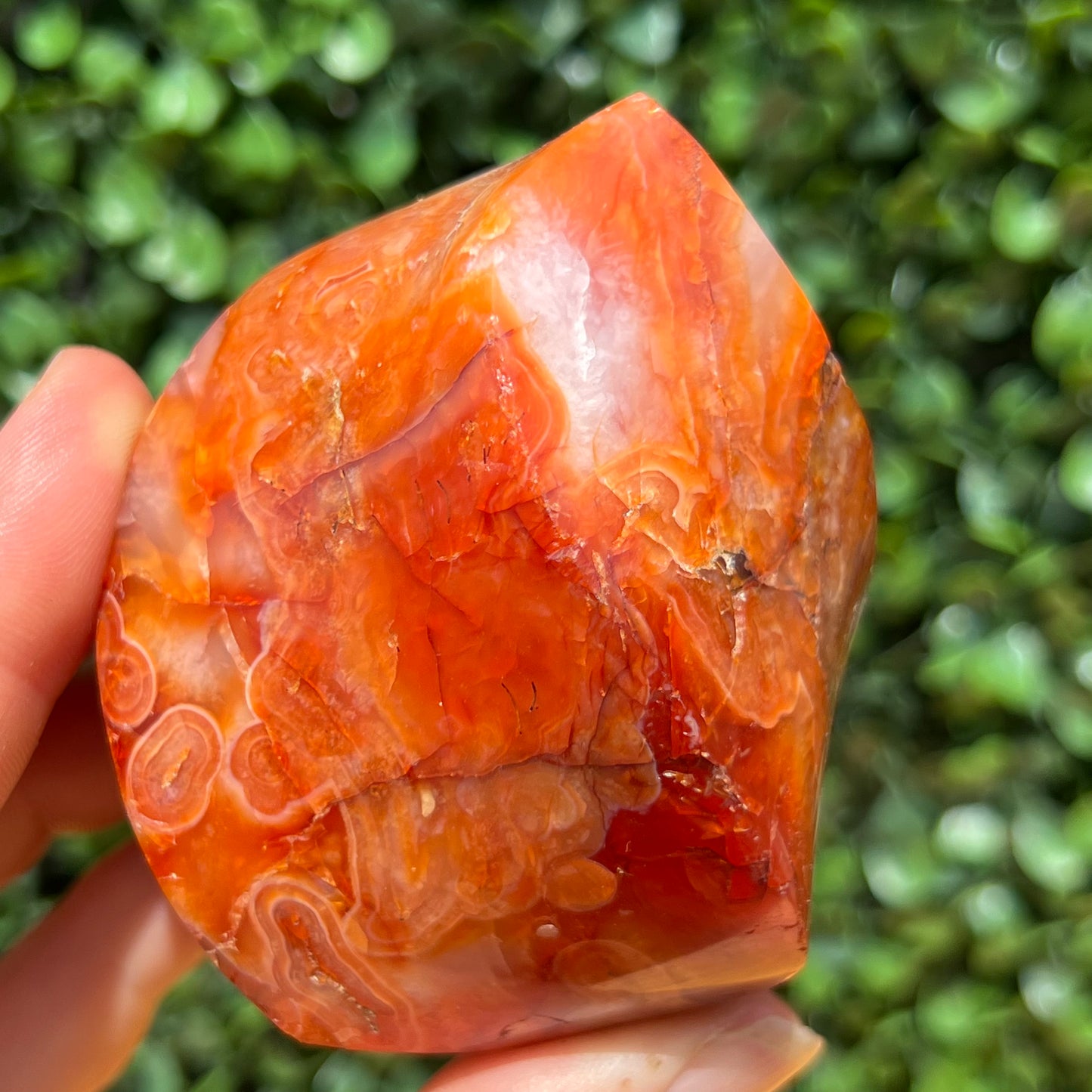 Carnelian Flame
