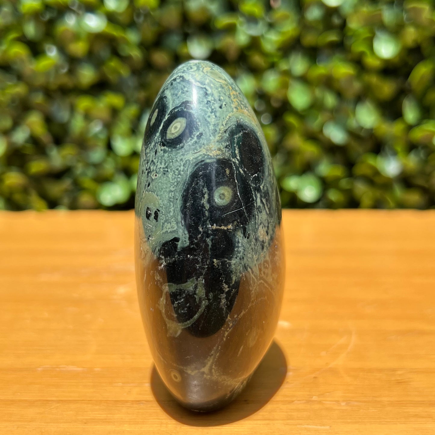 Kambaba Jasper Free Form