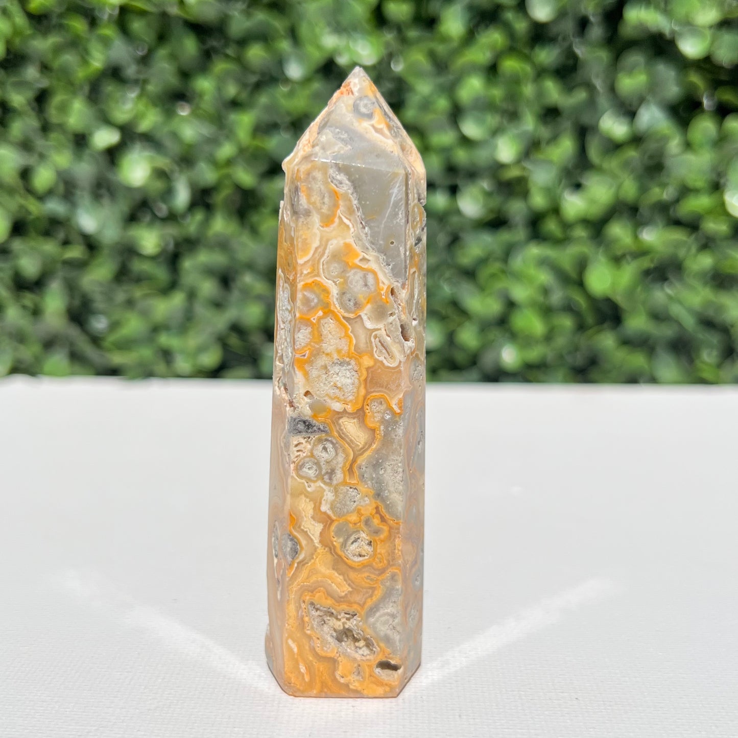 Crazy Lace Agate Point