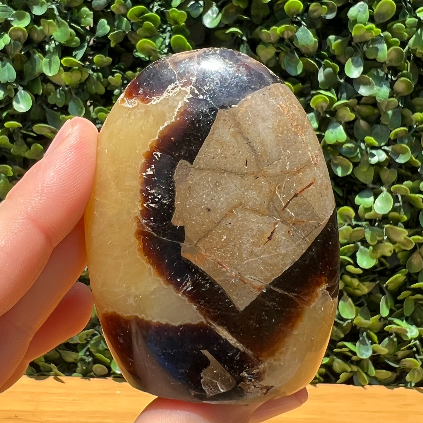 Septarian Yellow Calcite Free Form