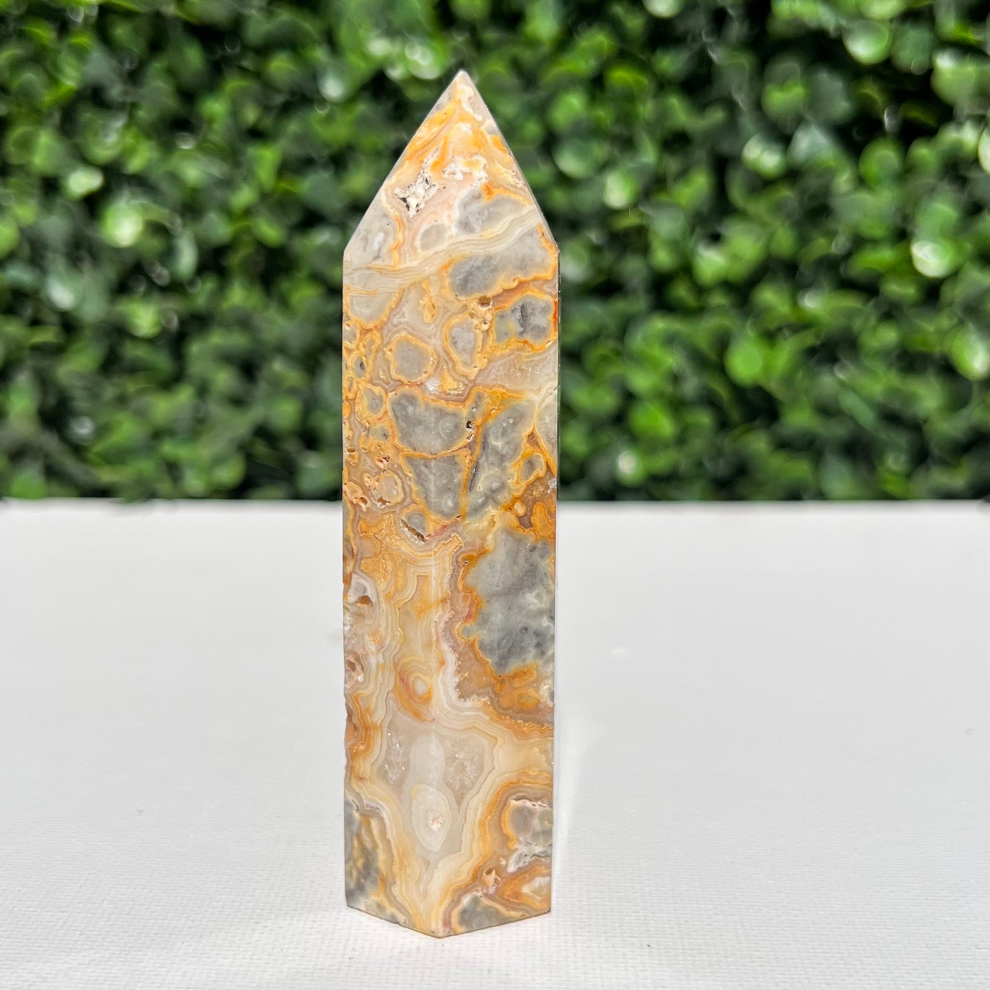 Crazy Lace Agate Point
