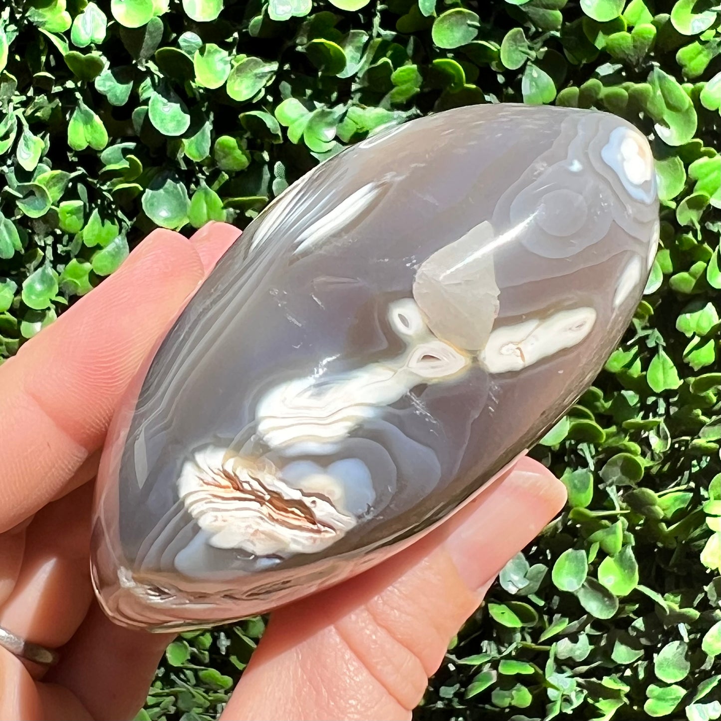 Orca Agate Heart