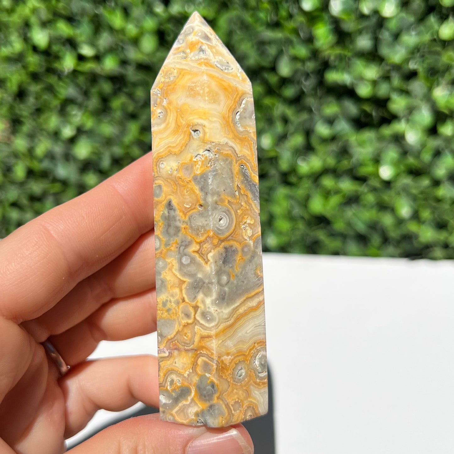 Crazy Lace Agate Point