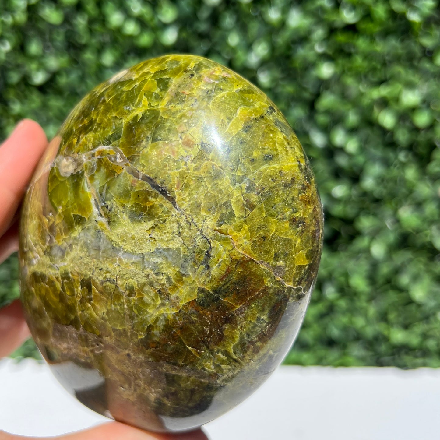 Kiwi Opal Free Form
