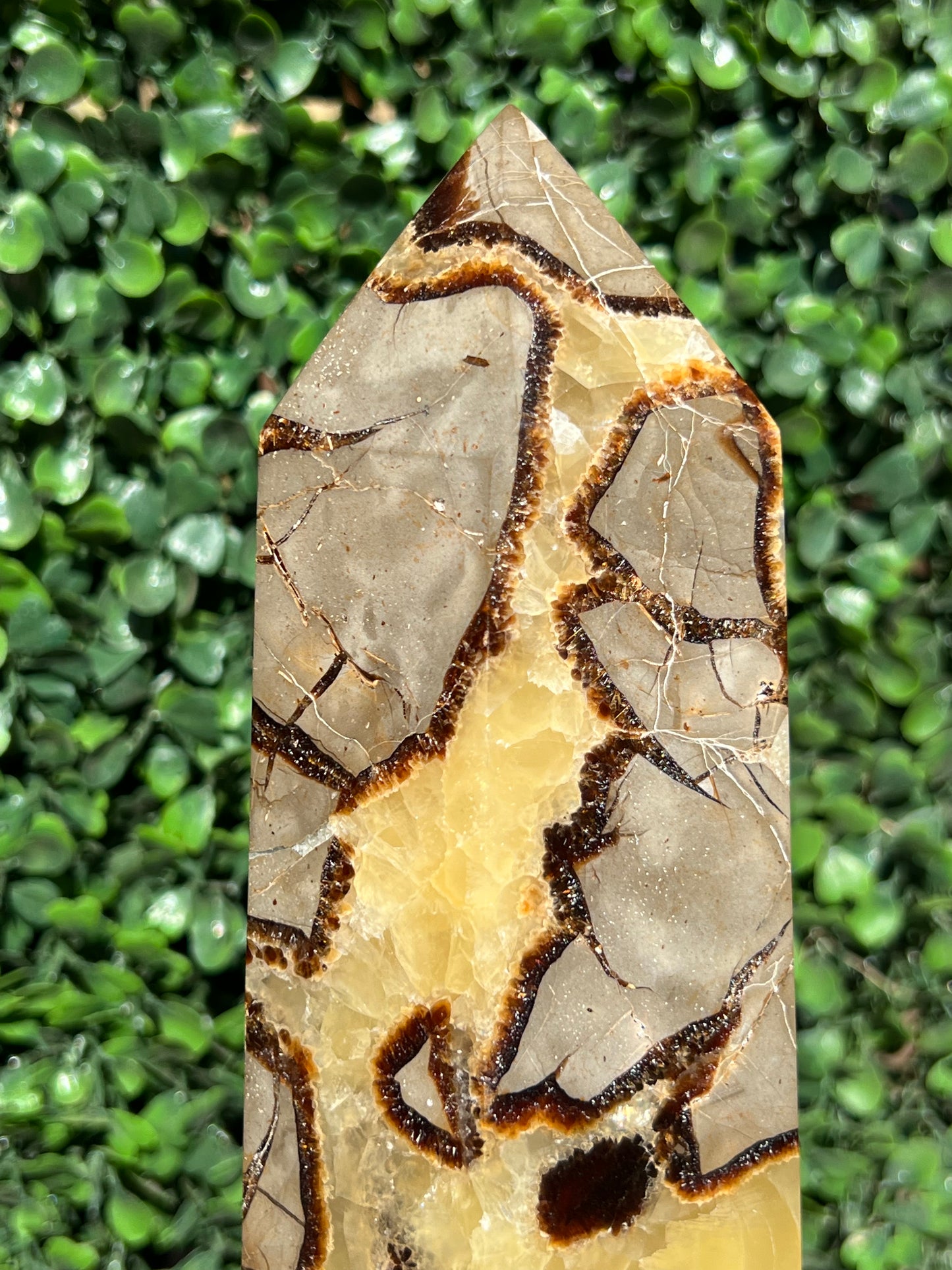Septarian Generator XXL