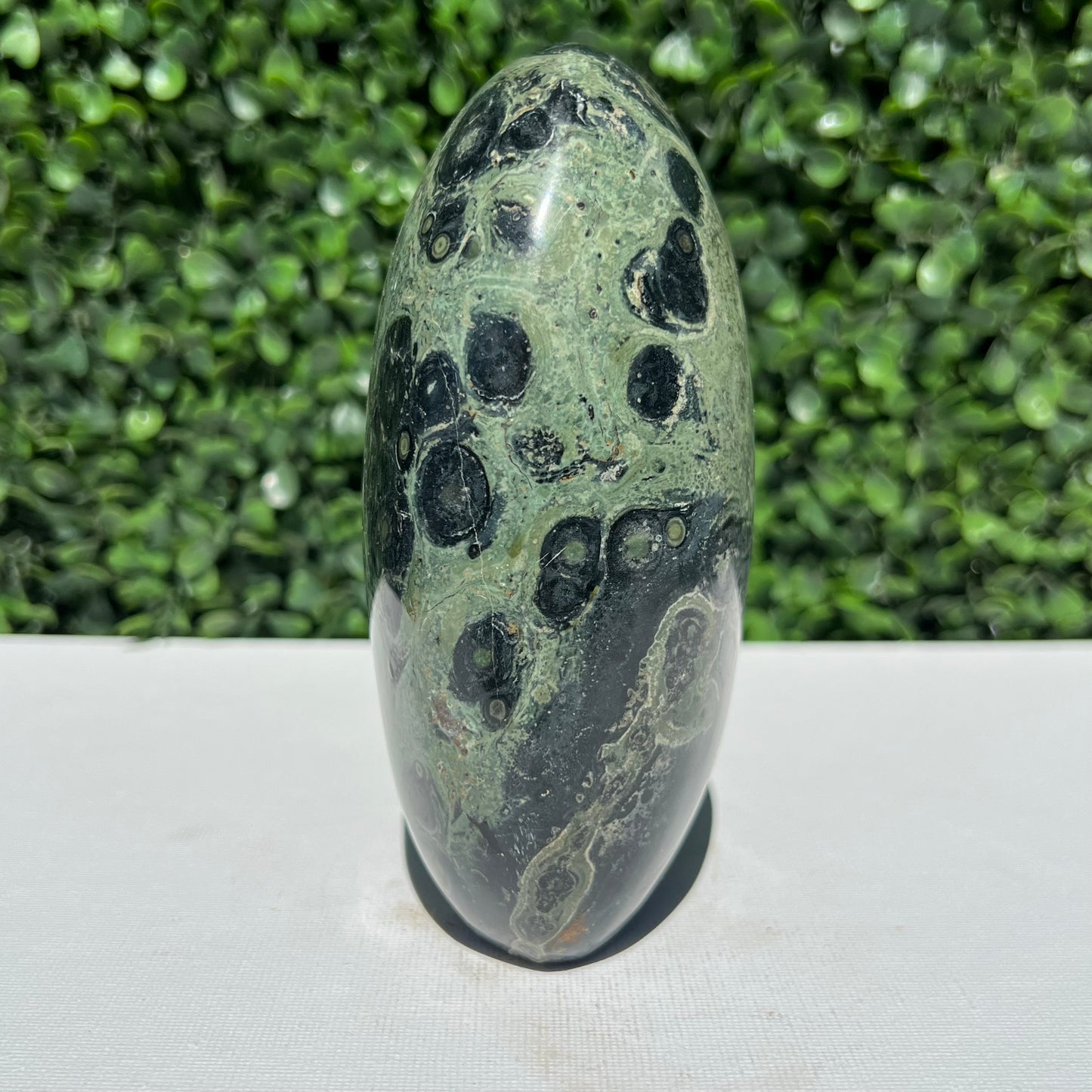Kambaba Jasper Free Form