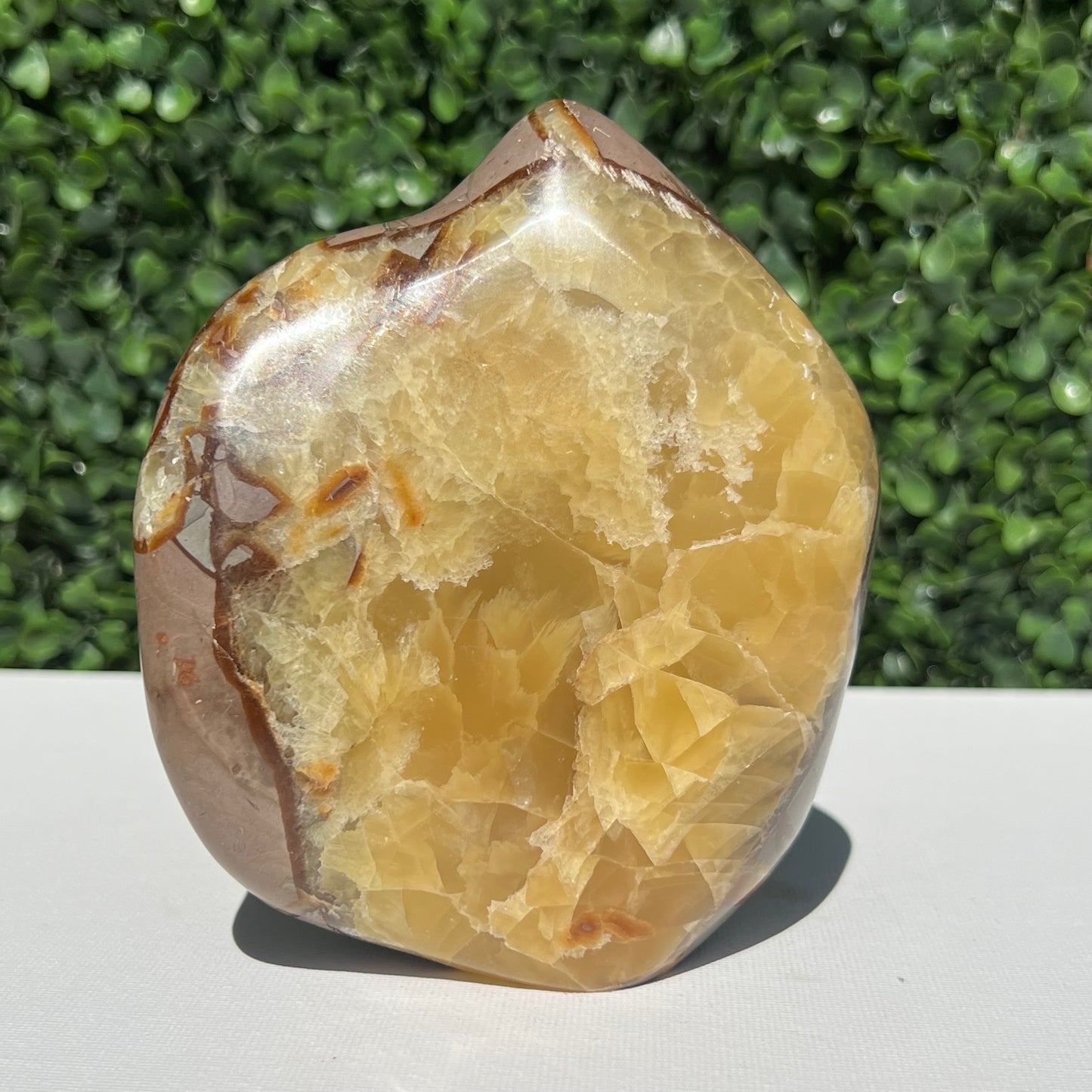 Septarian Yellow Calcite Free Form