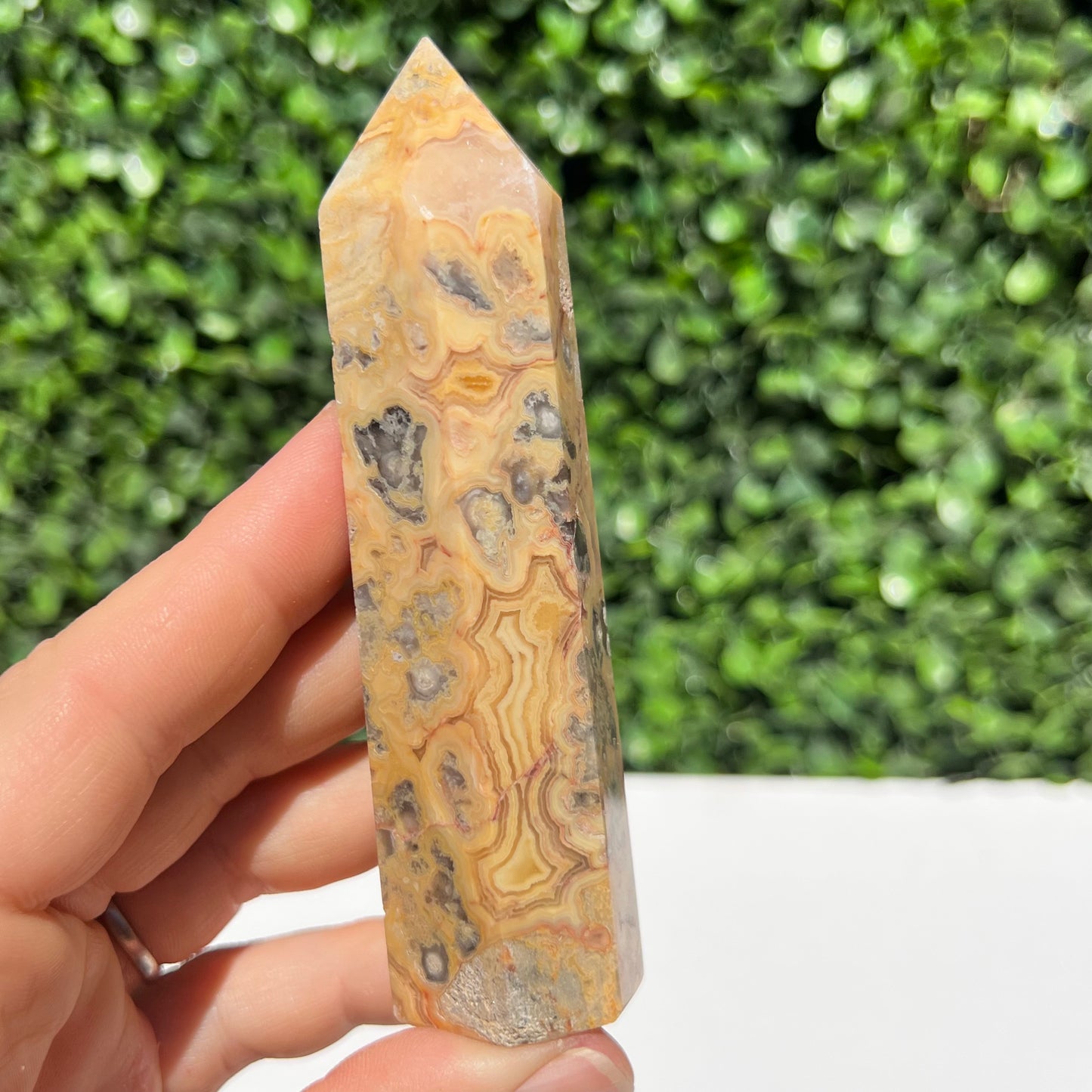 Crazy Lace Agate Point