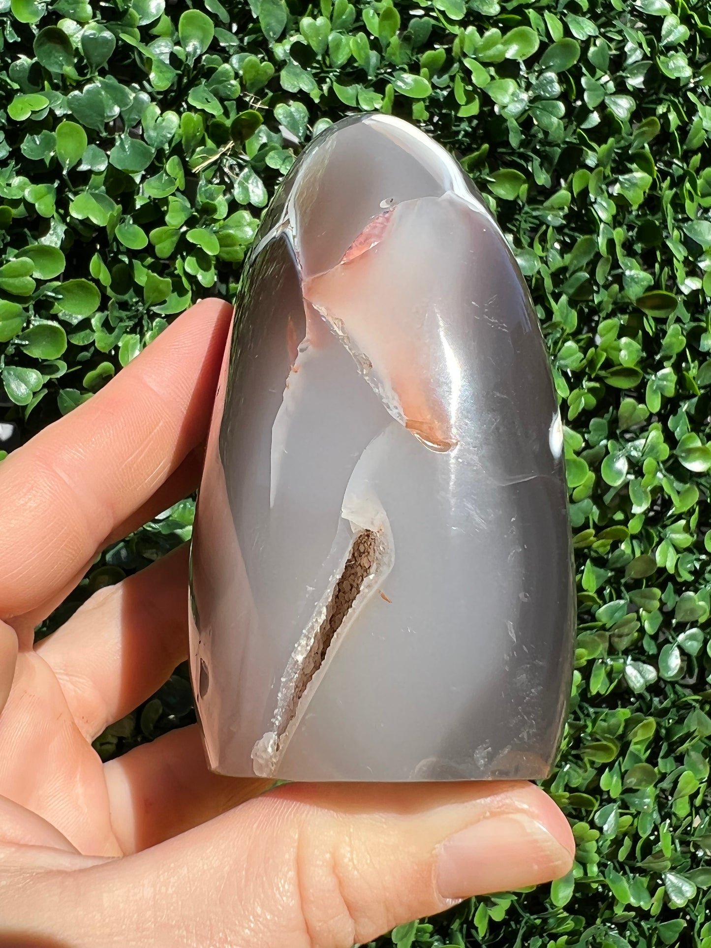 Orca Agate Free Form