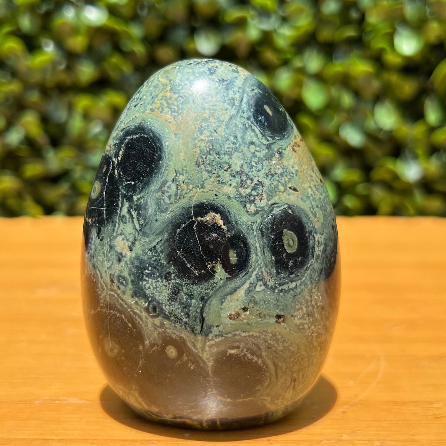 Kambaba Jasper Free Form