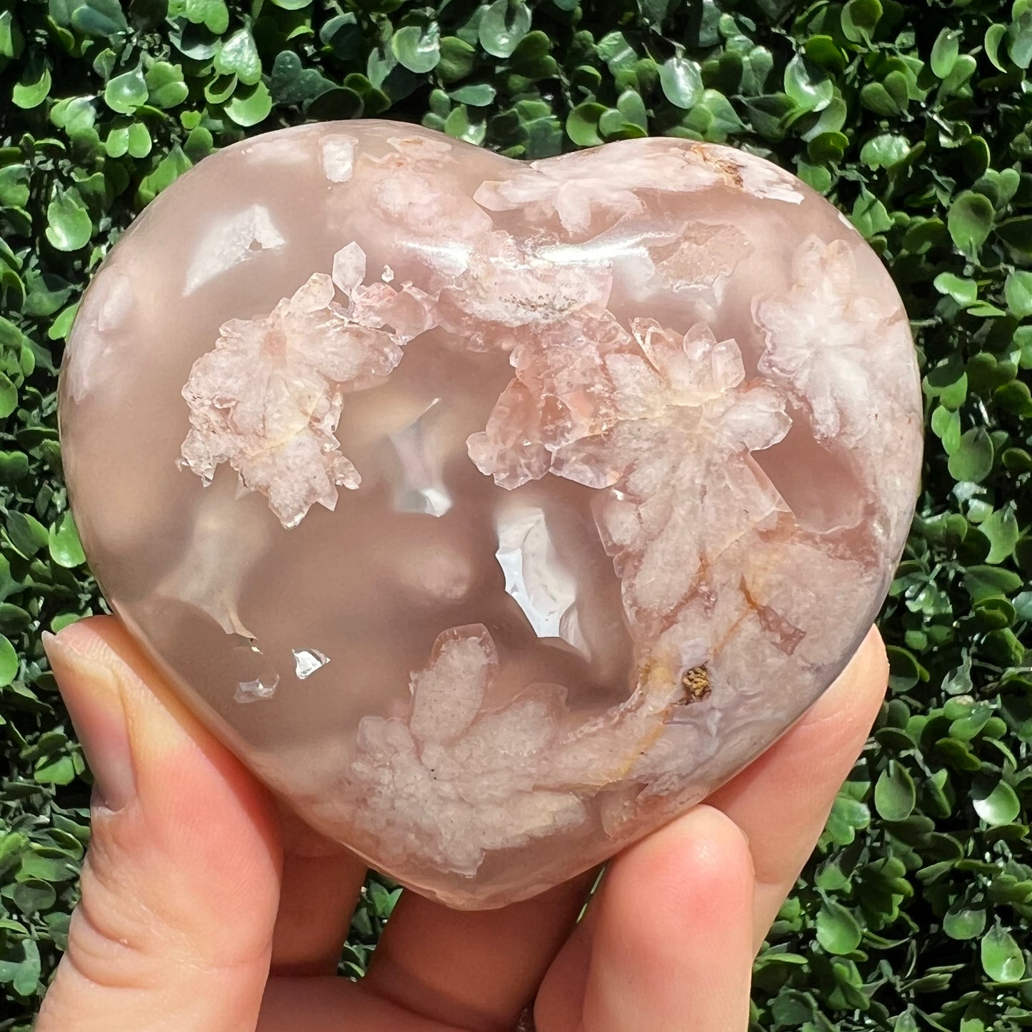 Flower Agate Heart