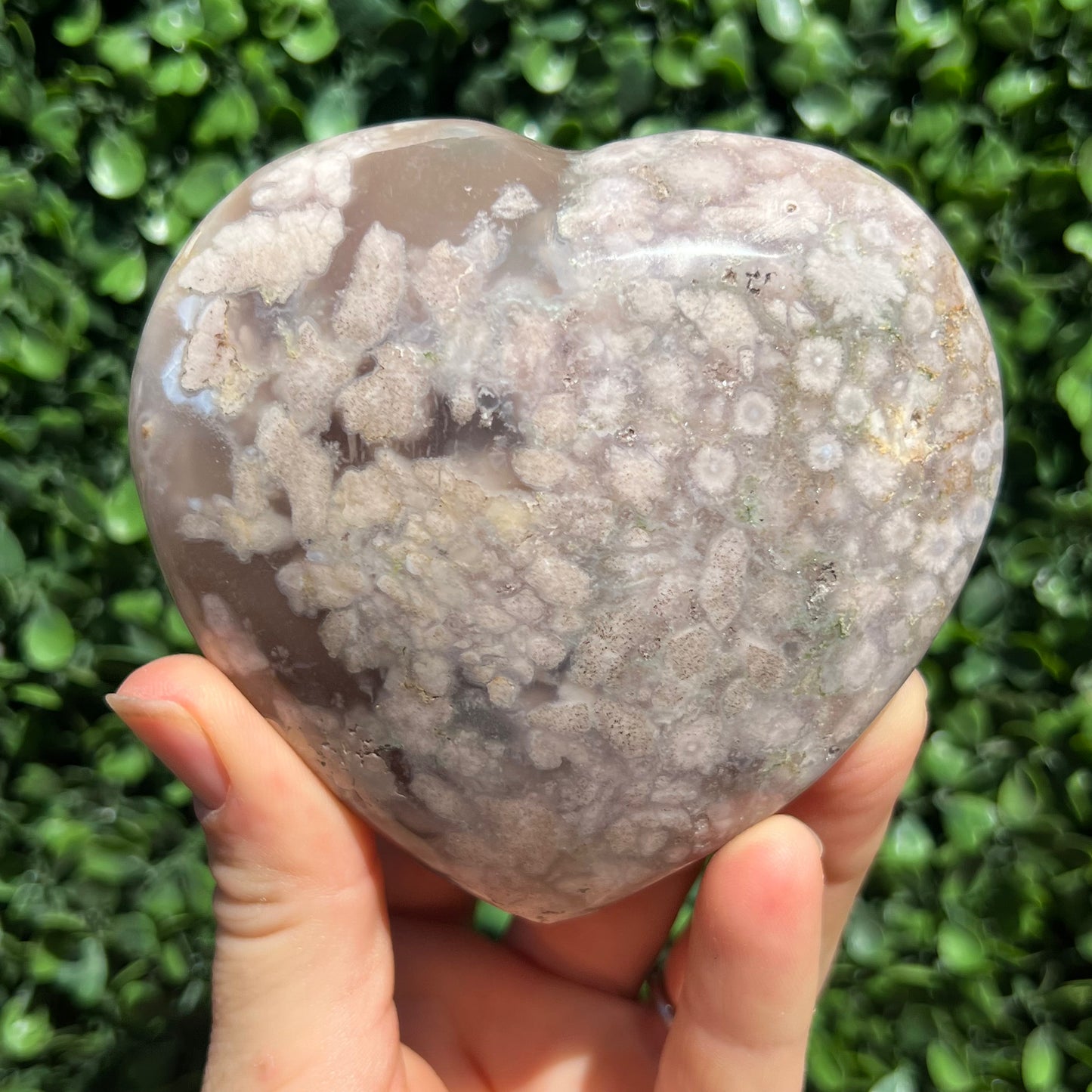 Flower Agate Heart