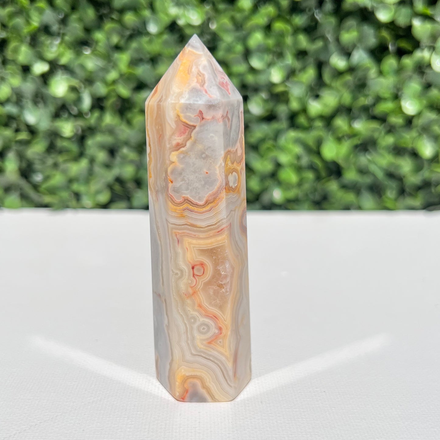 Crazy Lace Agate Point