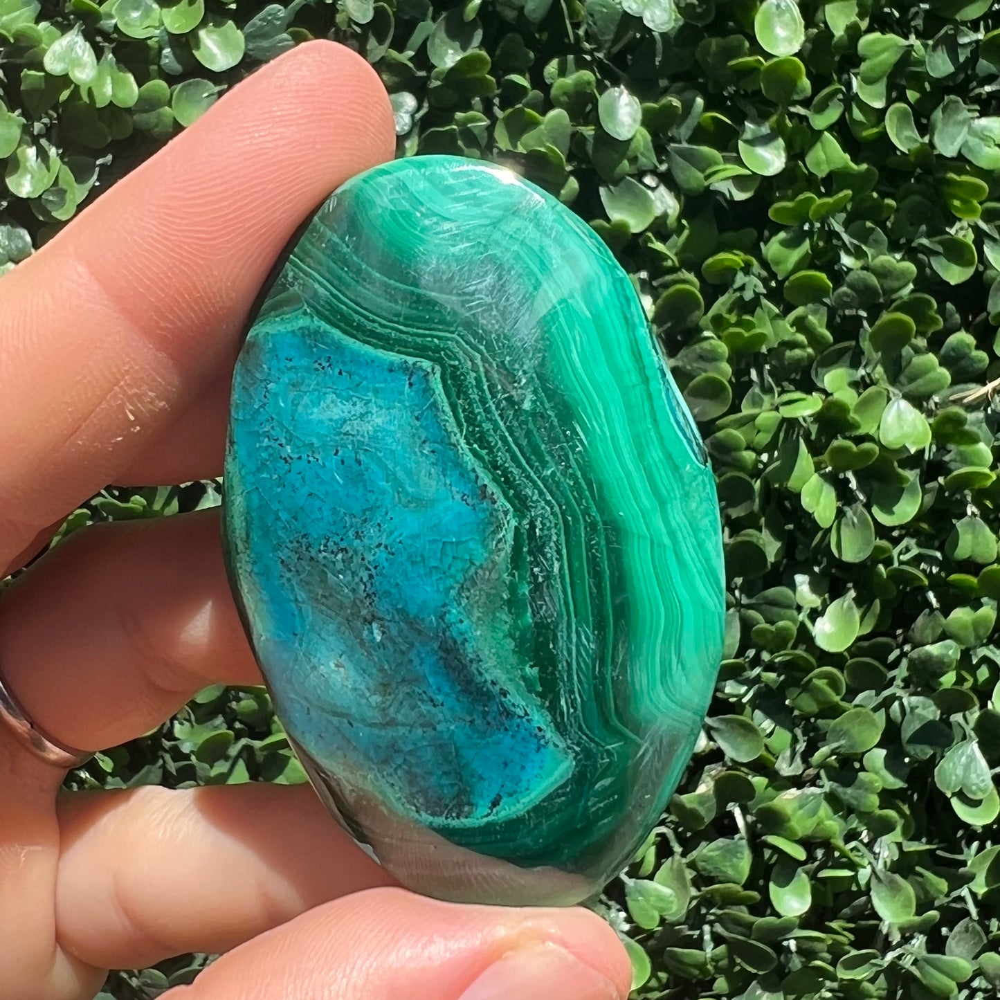 Chrysocolla Malachite Palm Stone