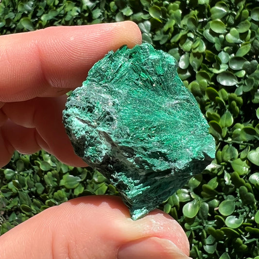 Fibrous Malachite Specimen