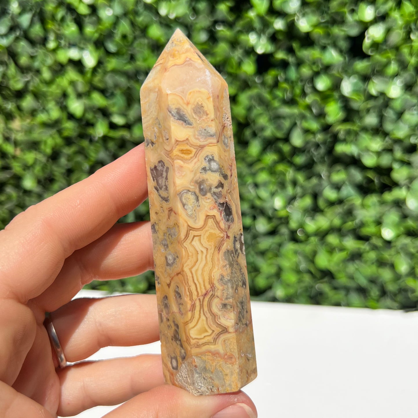 Crazy Lace Agate Point