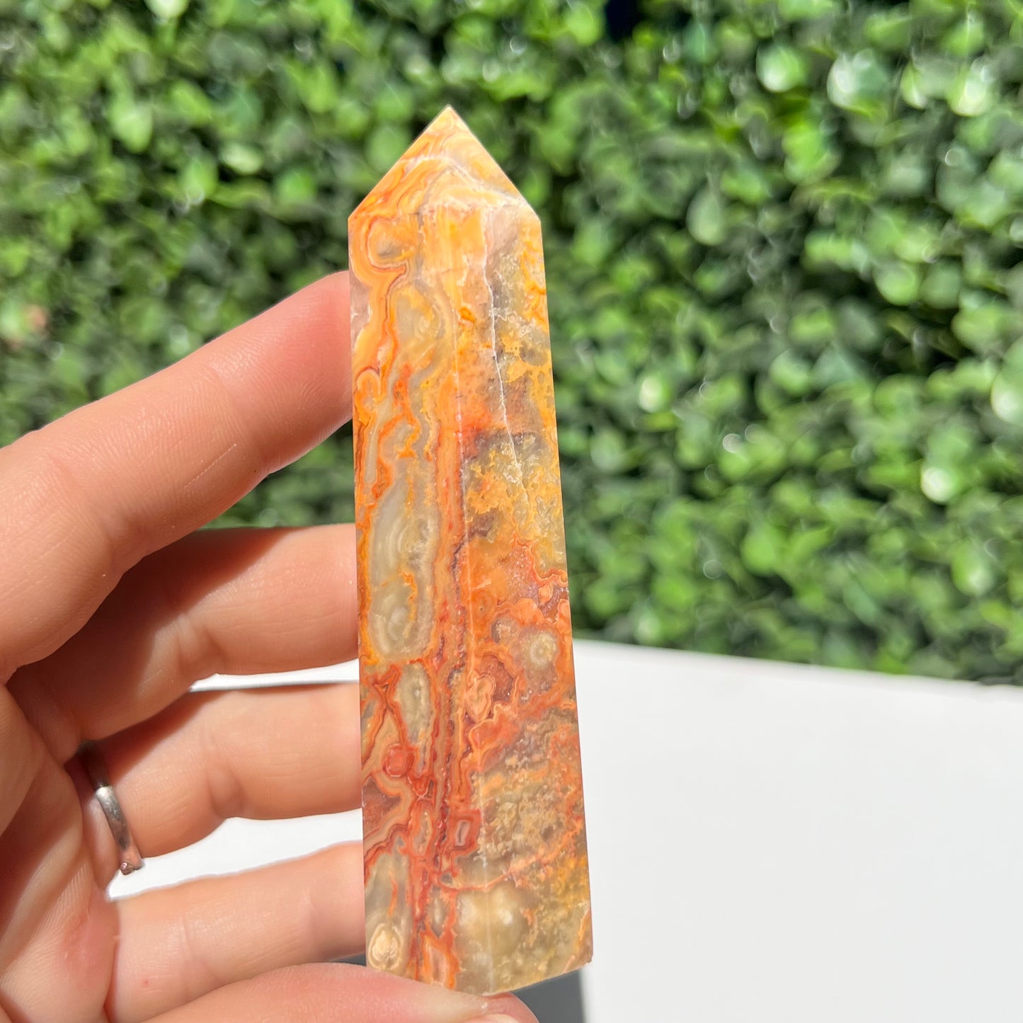 Crazy Lace Agate Point