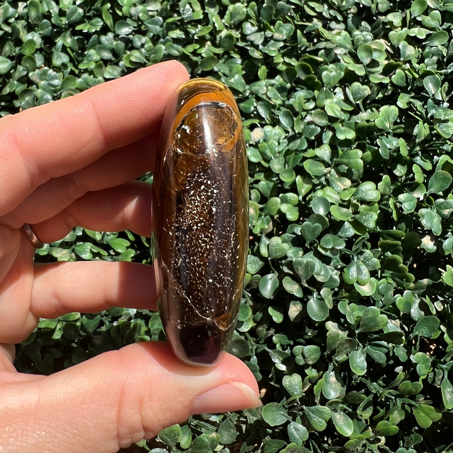 Tiger's Eye Palm Stone