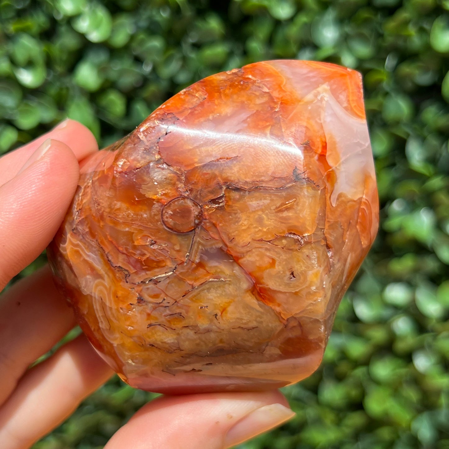 Carnelian Flame