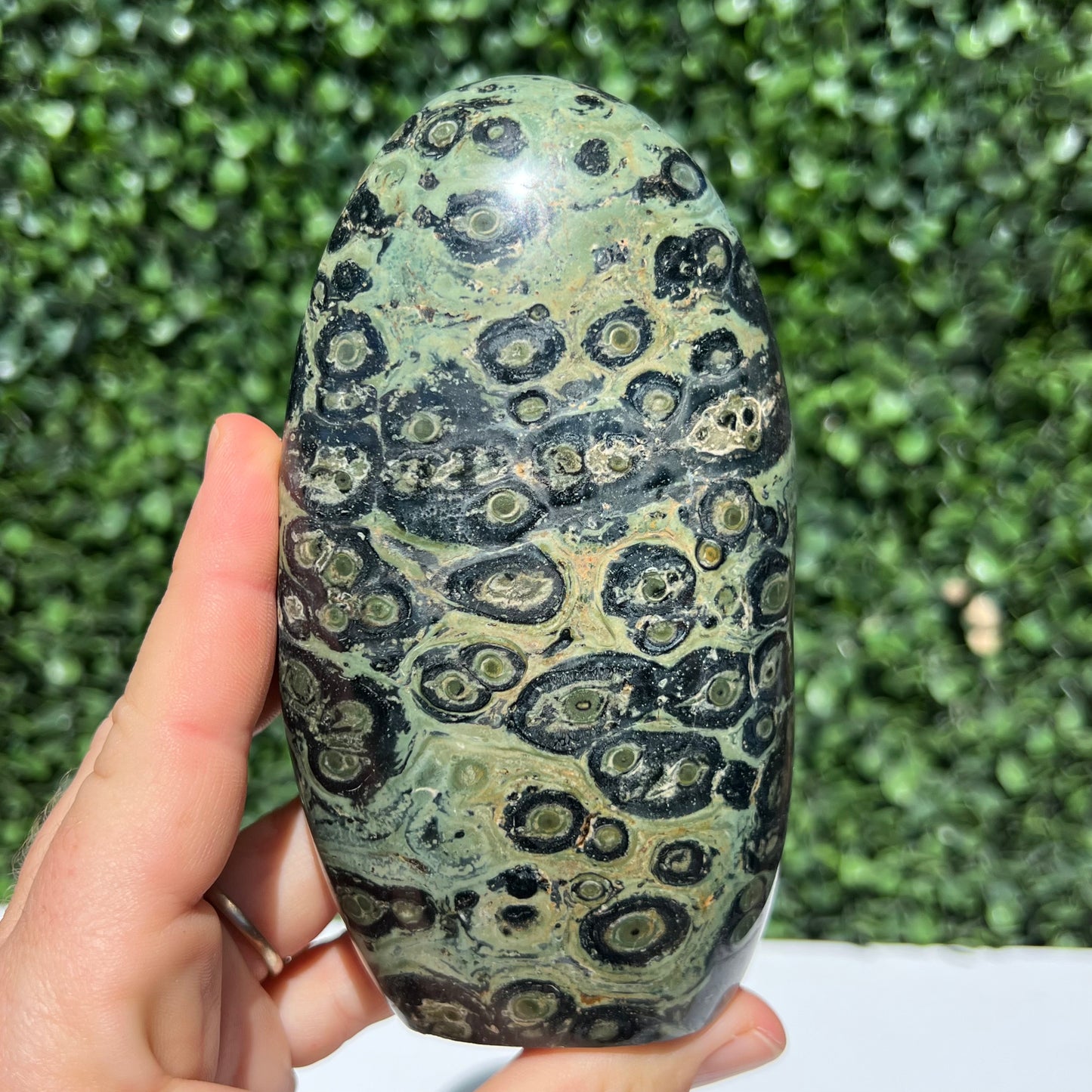 Kambaba Jasper Free Form