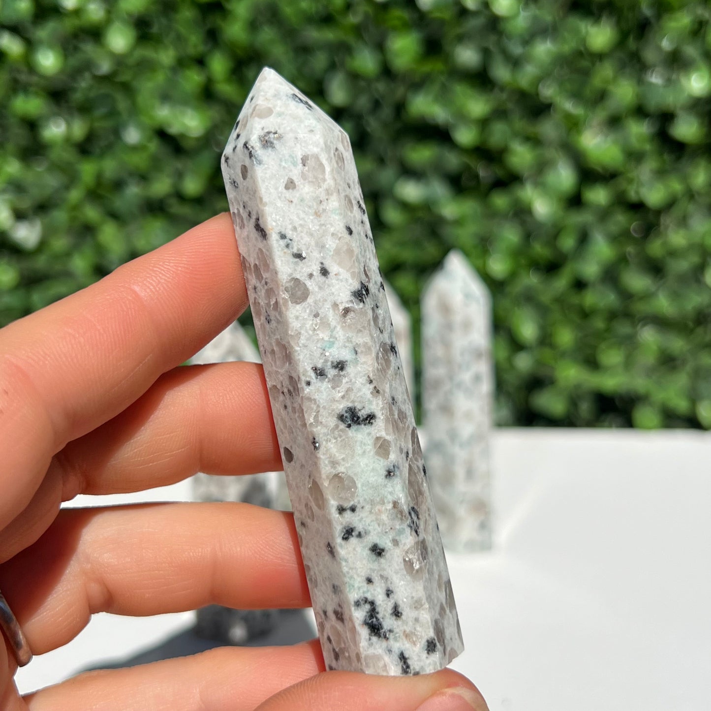 Kiwi Jasper Point’s