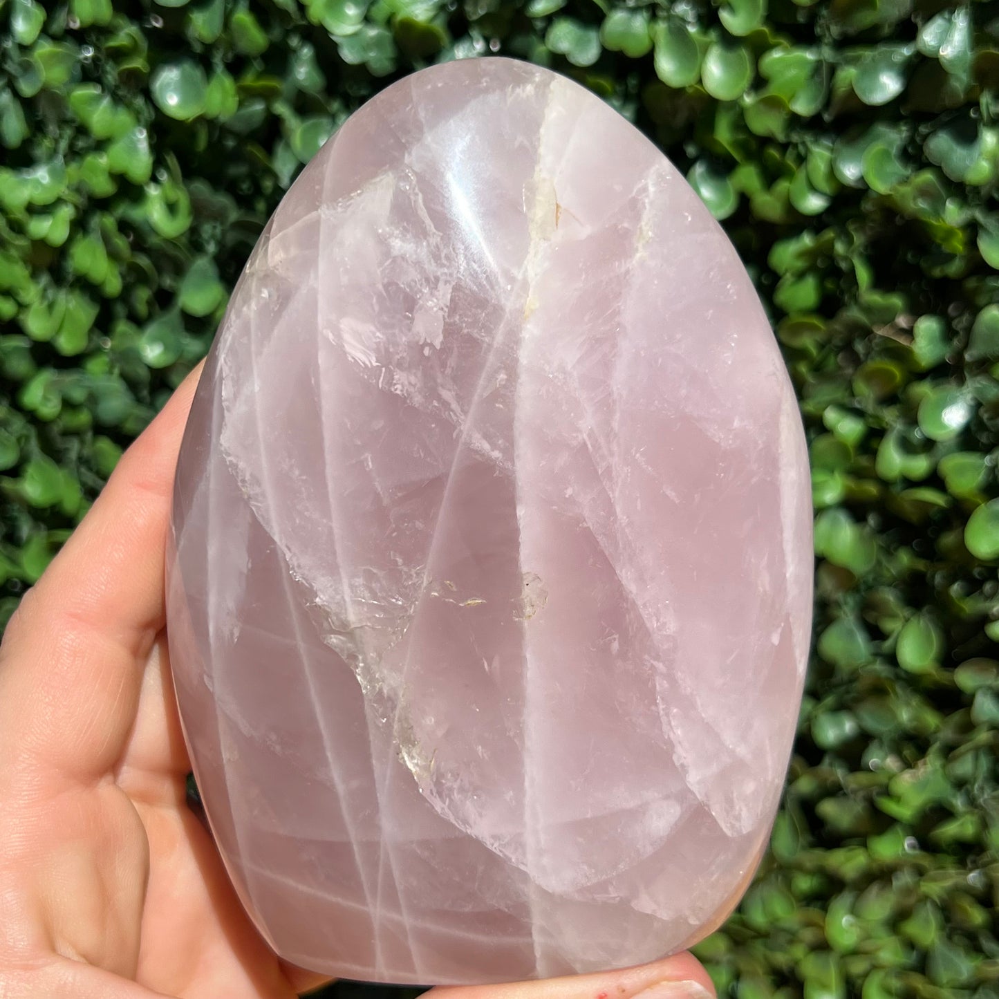 Rose Quartz Free Form