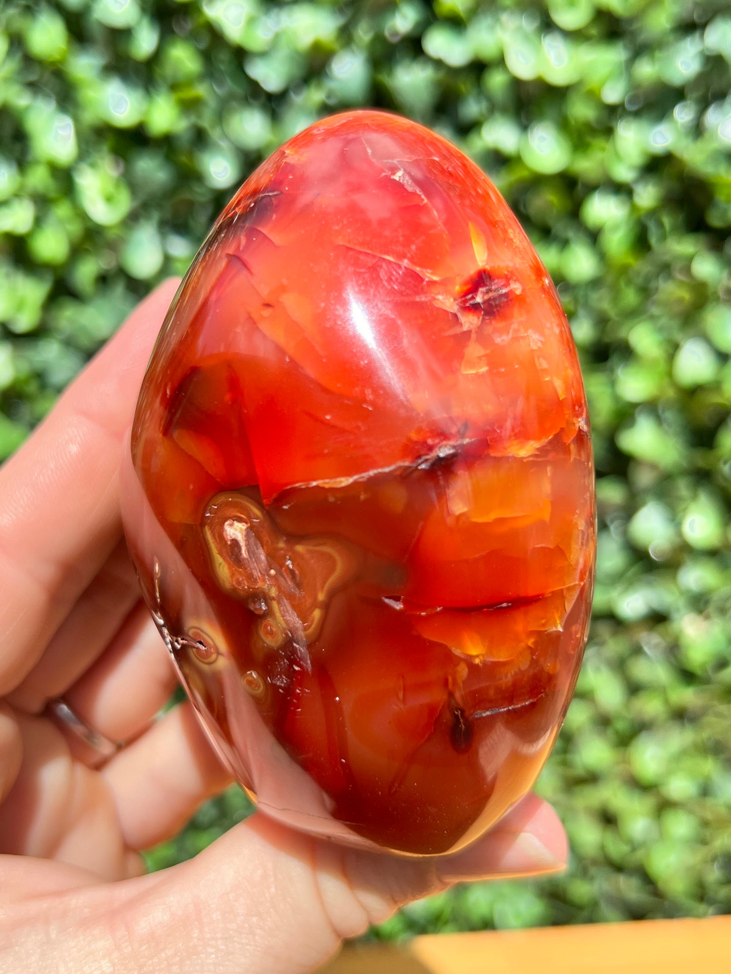 Carnelian Free Form