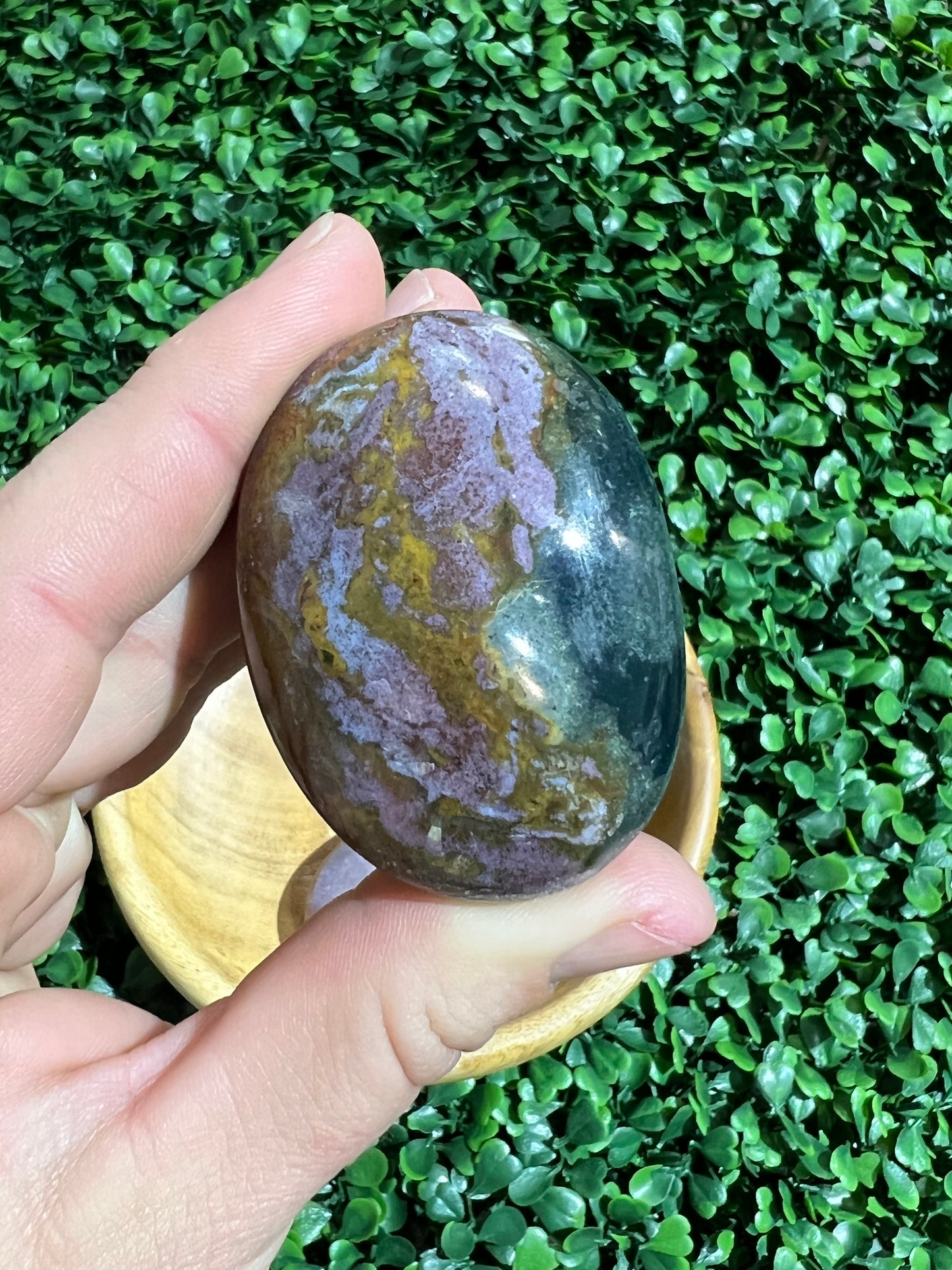 Ocean Jasper Palm Stone’s