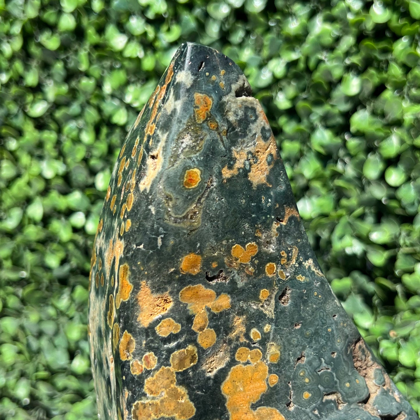 Ocean Jasper Free Form