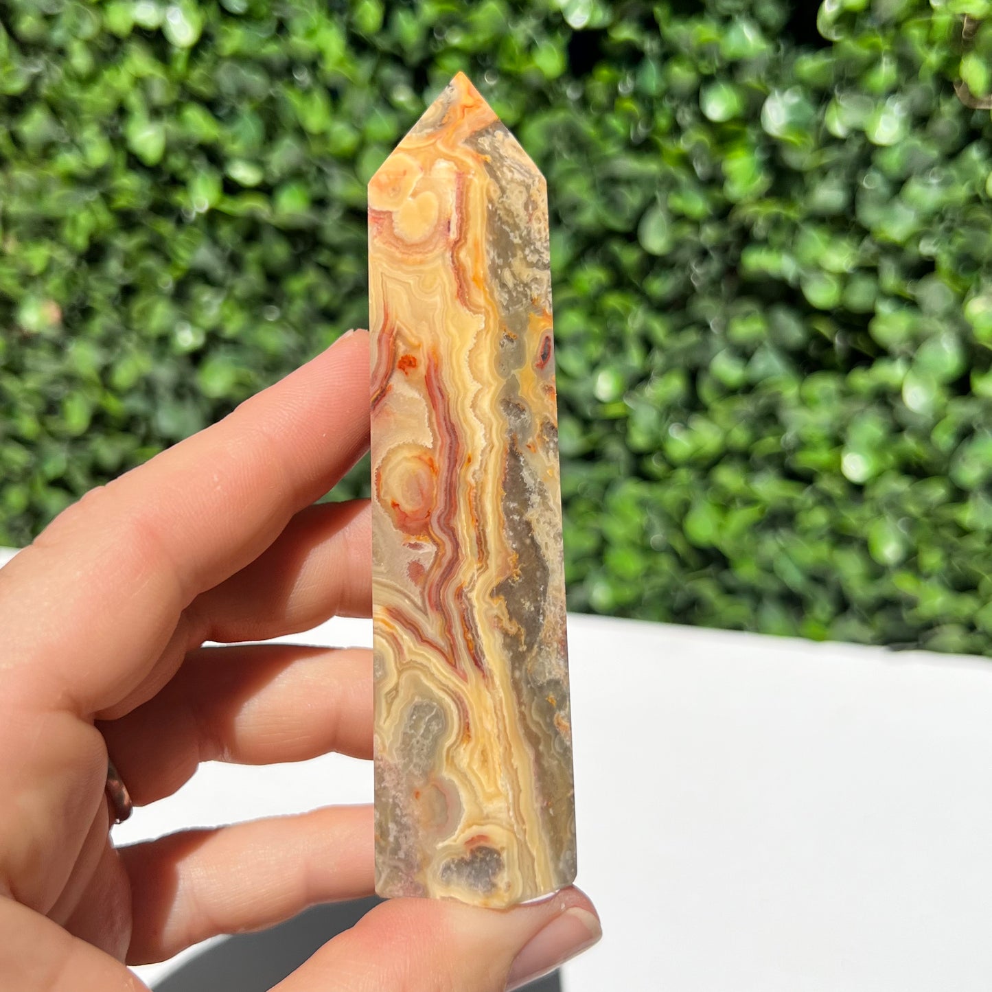 Crazy Lace Agate Point