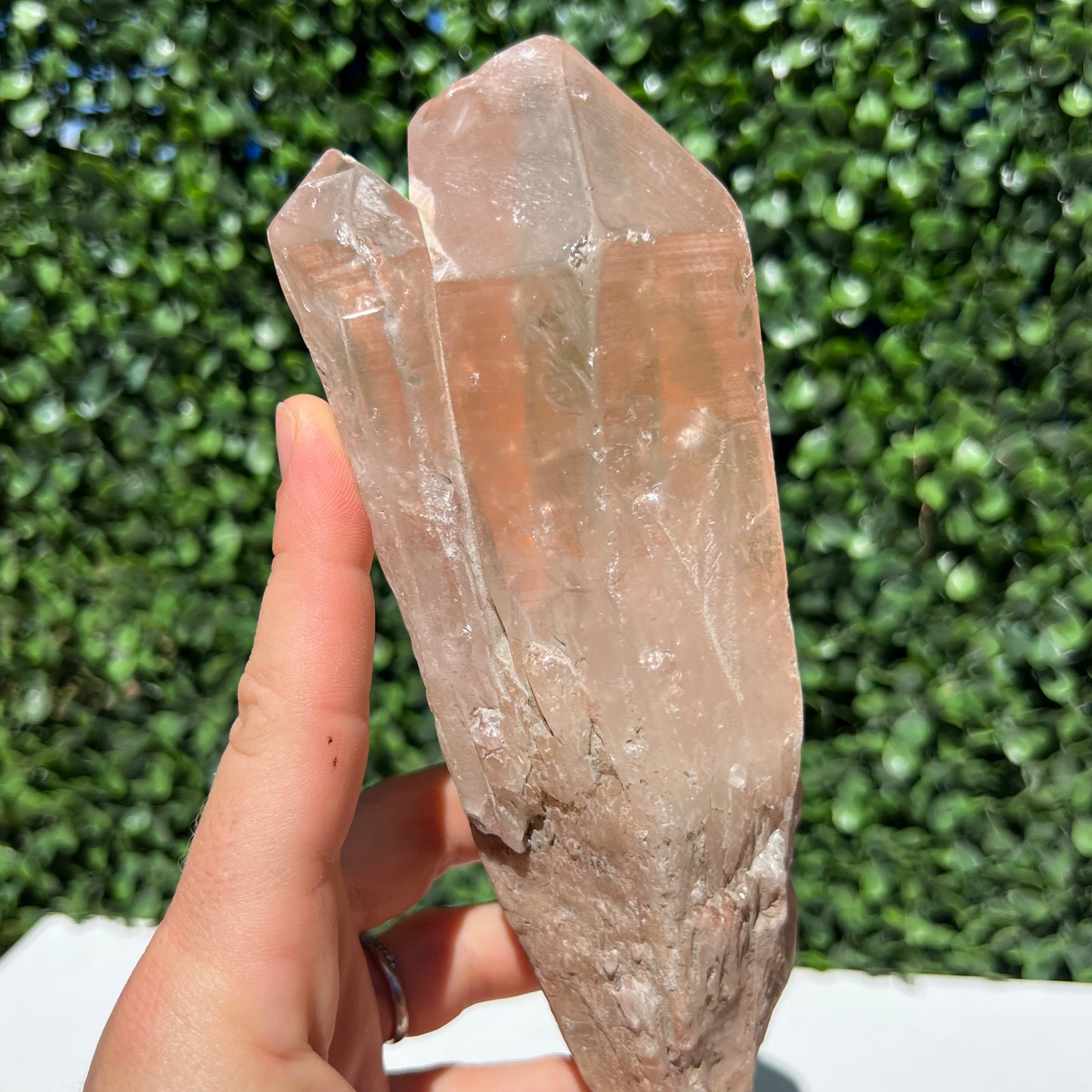 Lemurian Seed Crystal